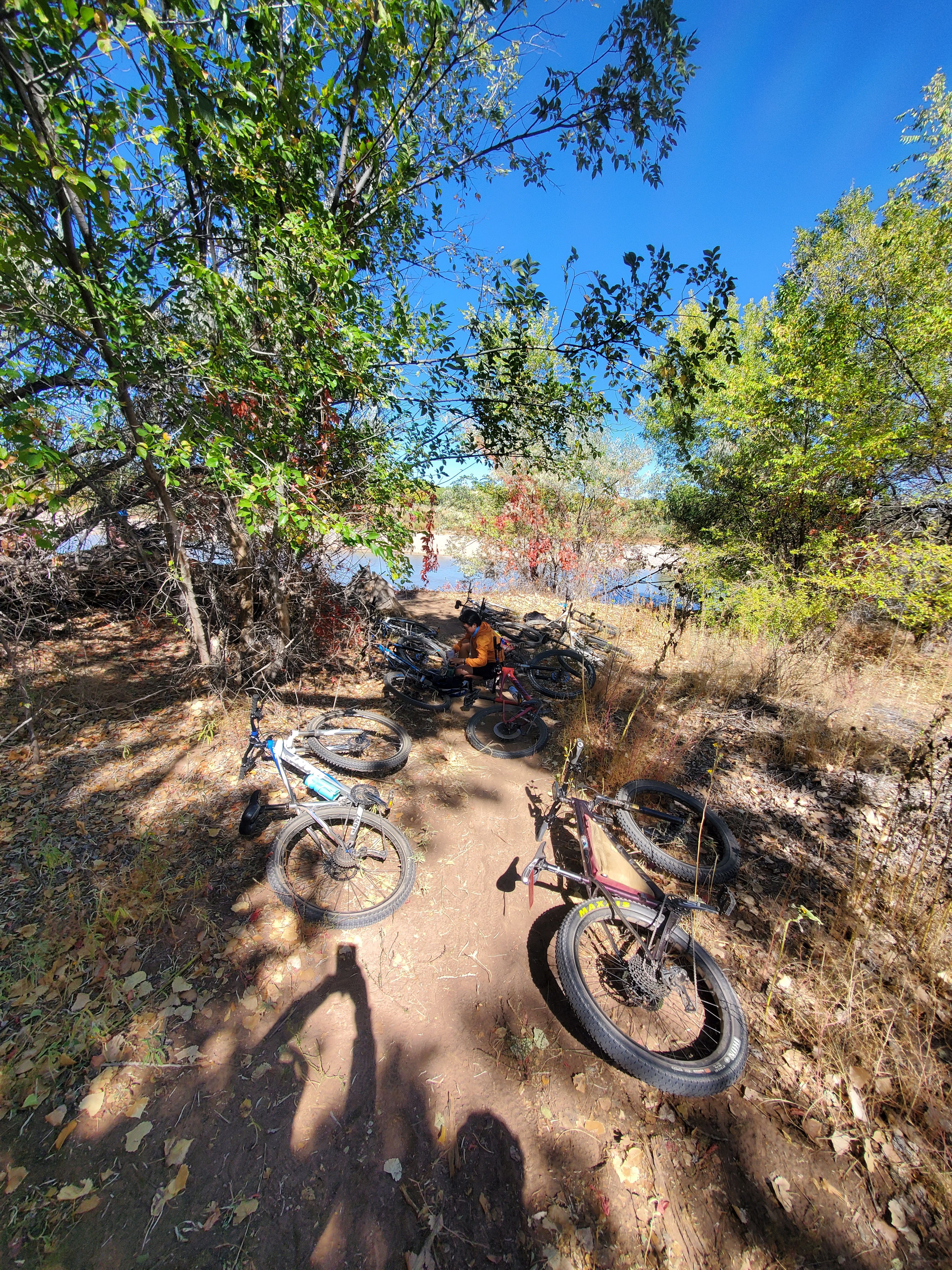 Mountain Biking