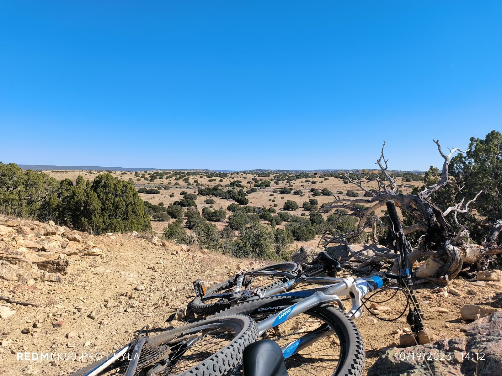 Mountain Biking