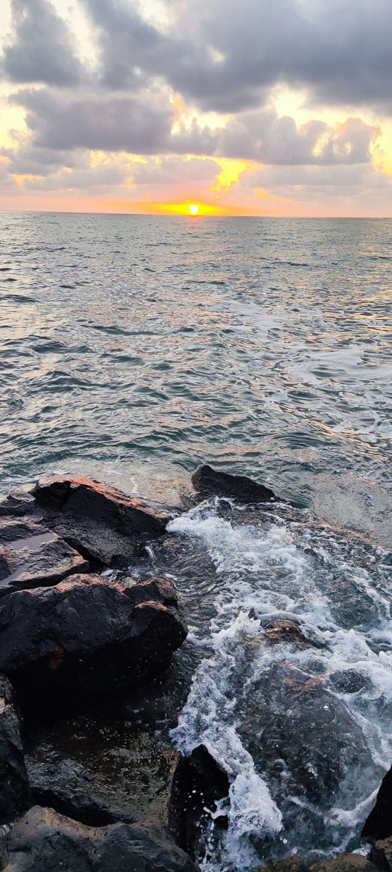 rocks