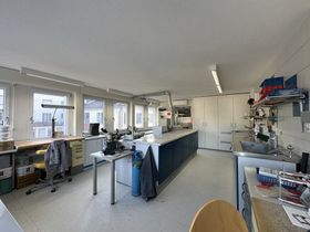 Grosszügiger Laborraum mit viel Tageslicht