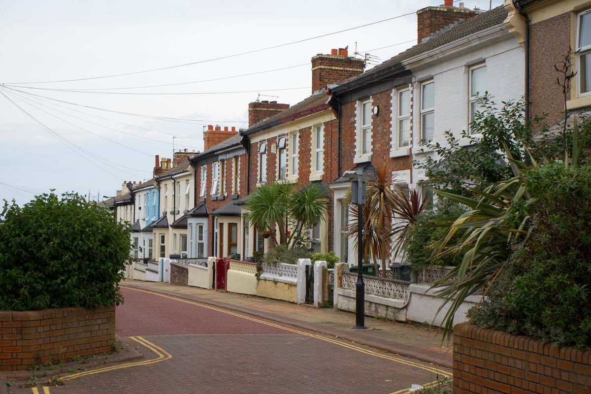 Row of red brick terraced houses with low white front walls and palm plants along a quiet street with double yellow lines