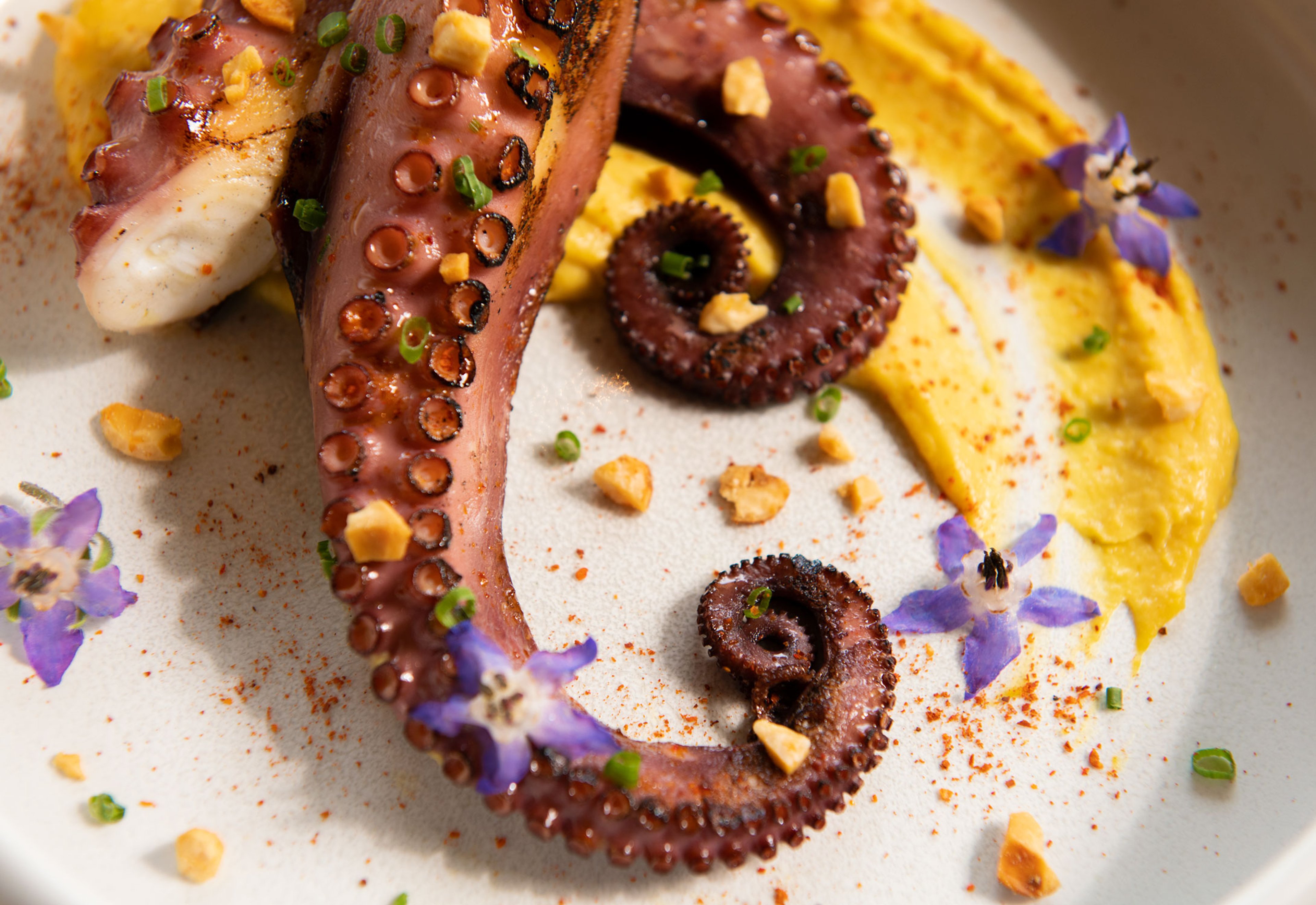 A fresh-looking octopus dish