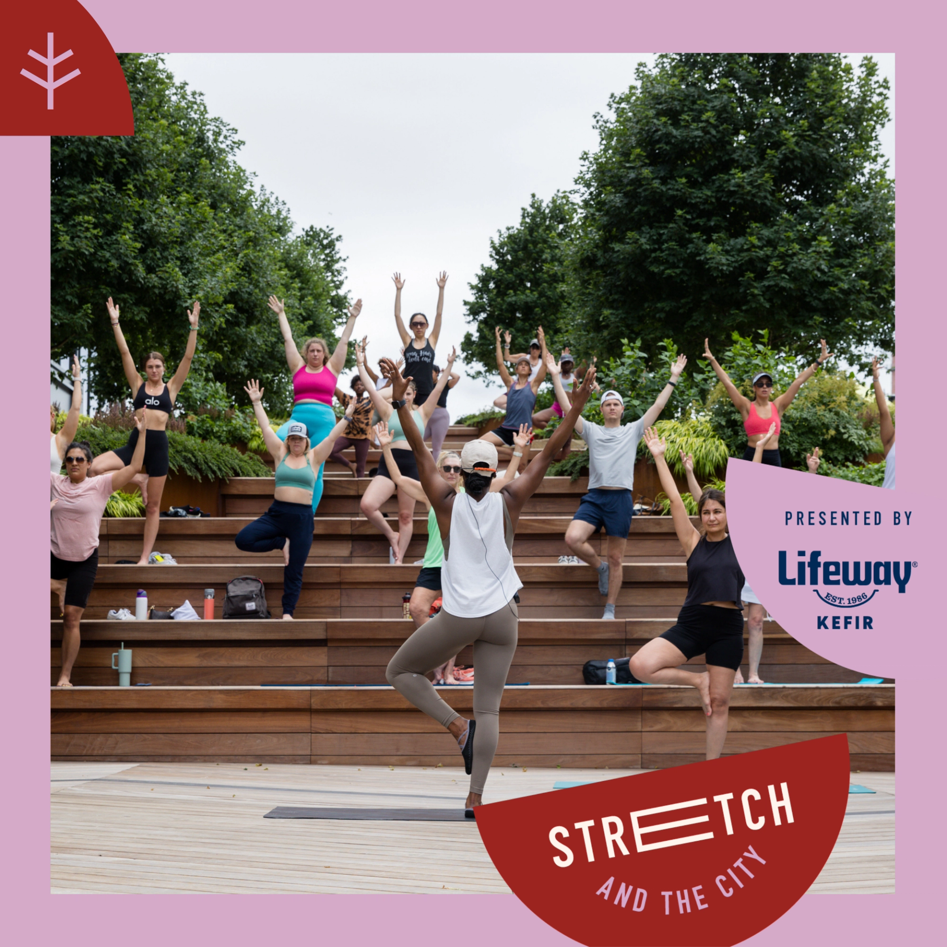 Stretch and the City