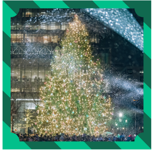 Seaport Tree Lighting