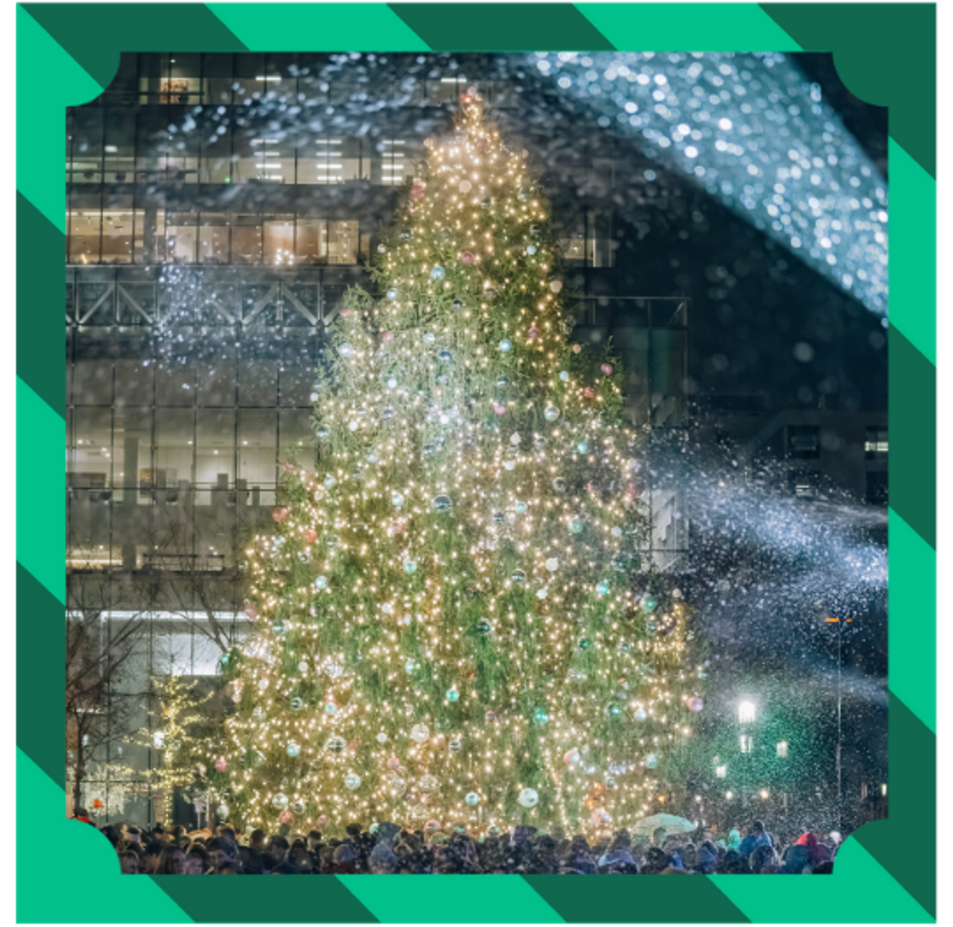 Seaport Tree Lighting 