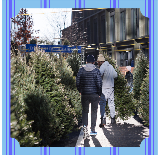 Seaport Tree Market