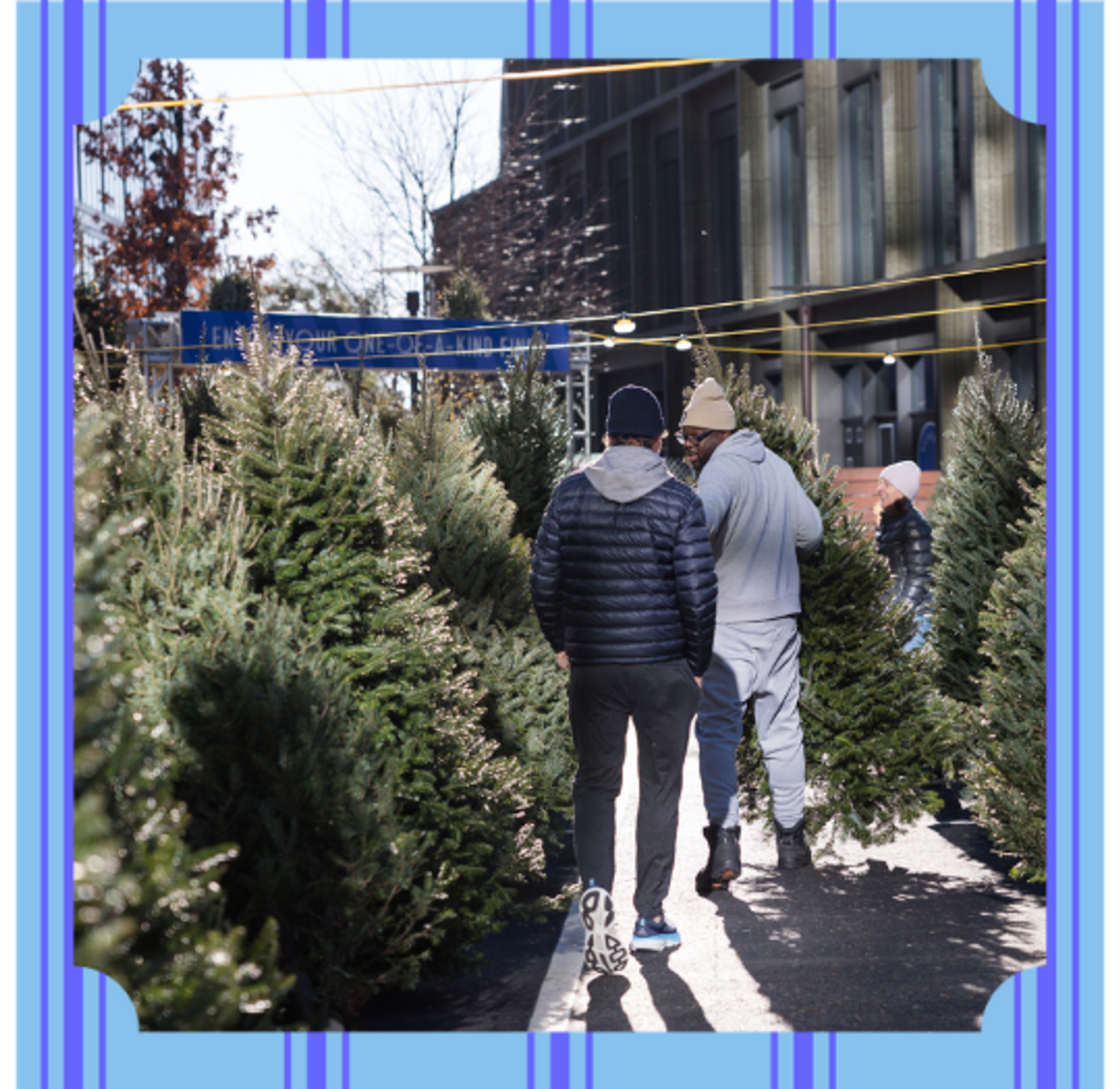 Seaport Tree Market 