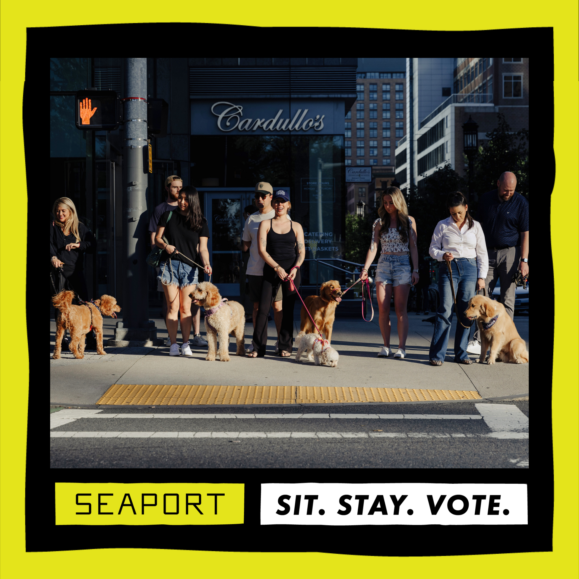 This election is for the dogs.