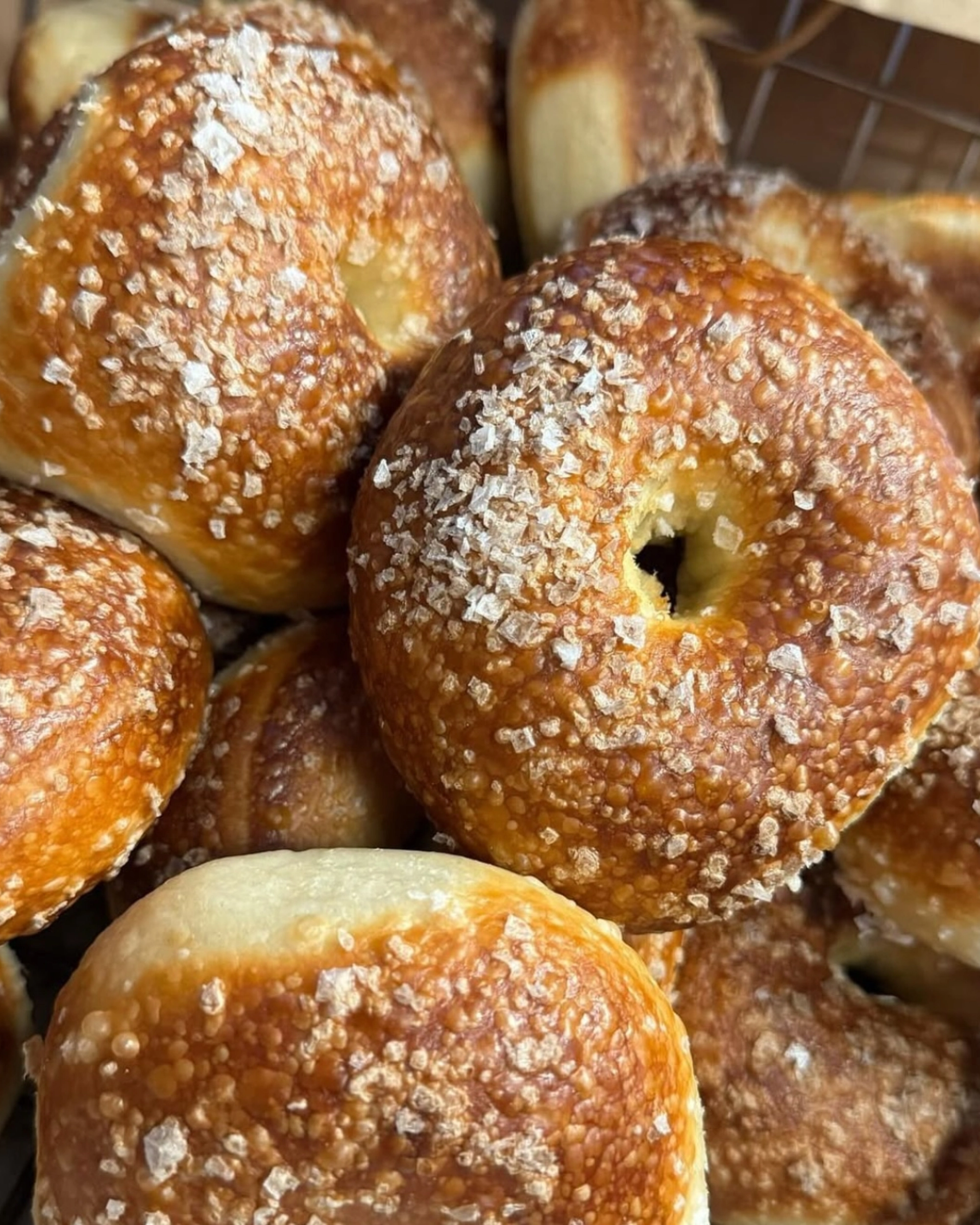 PopUp Bagels