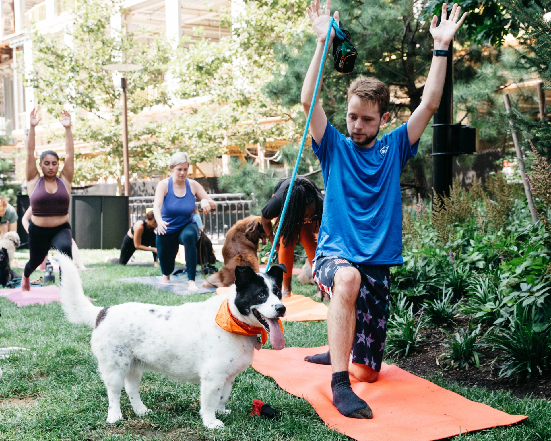 Dog Yoga at Sea Green Park