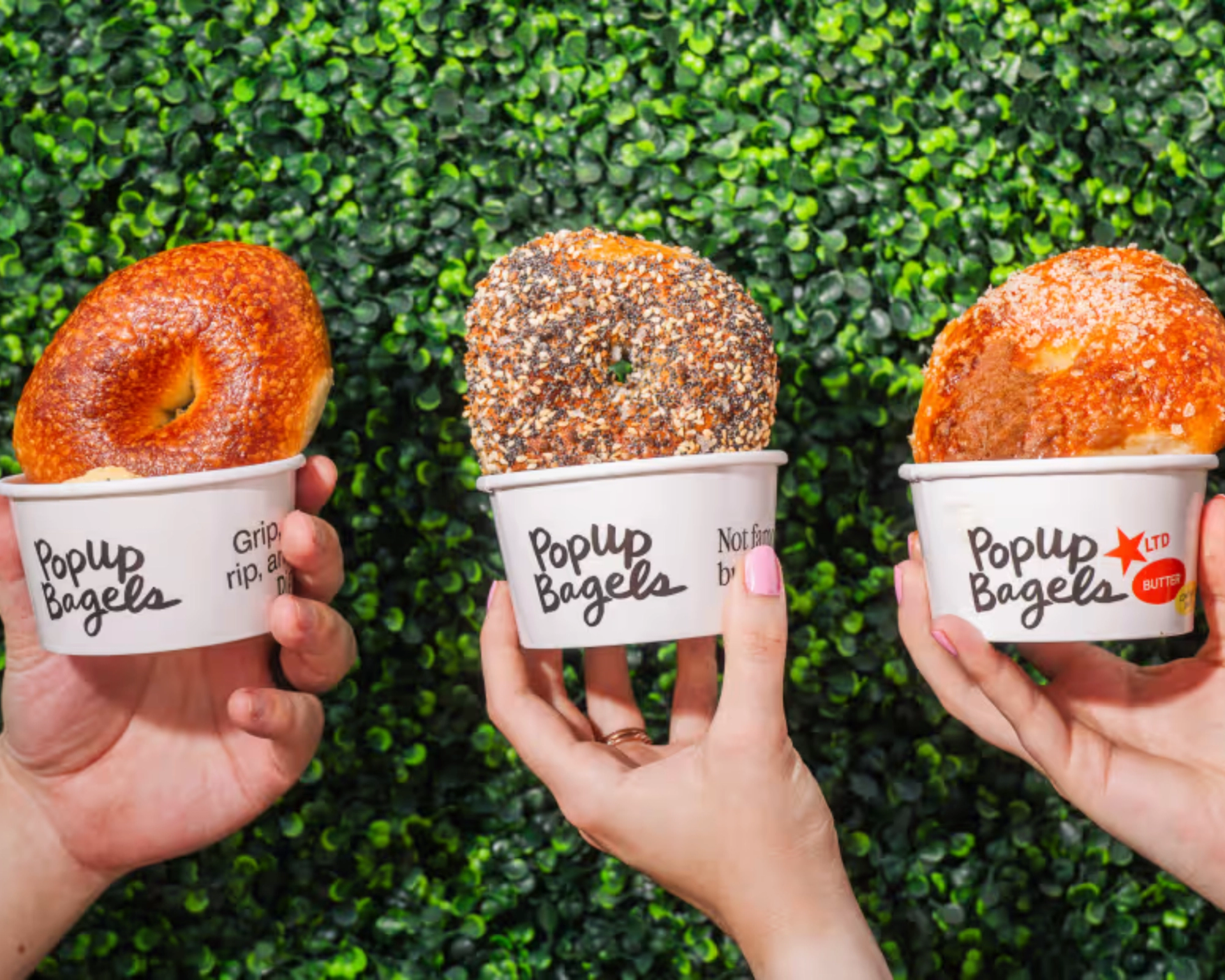 PopUp Bagels: Grand Opening