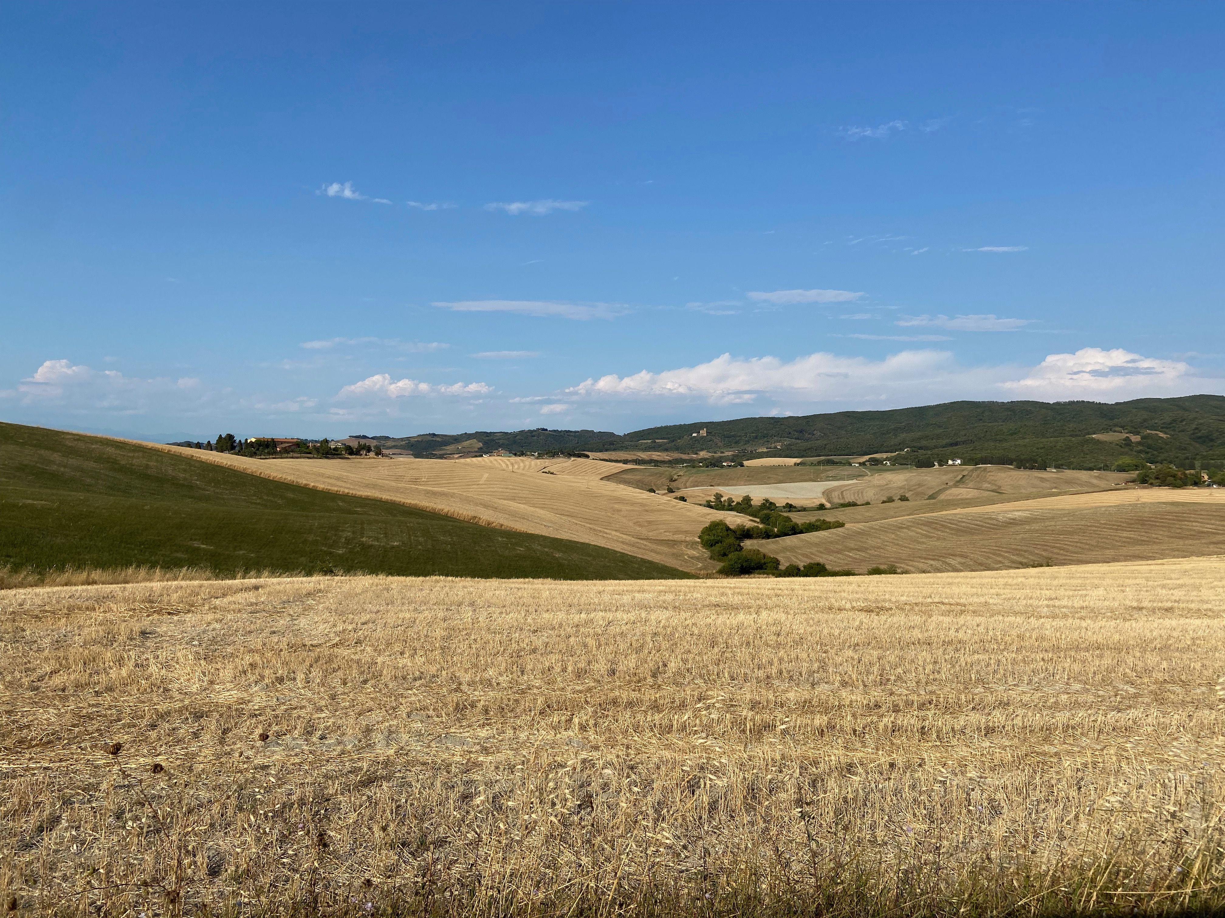 Hills in Toscane.