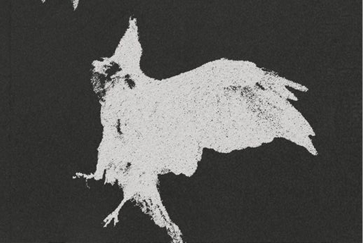 Top promotional banner