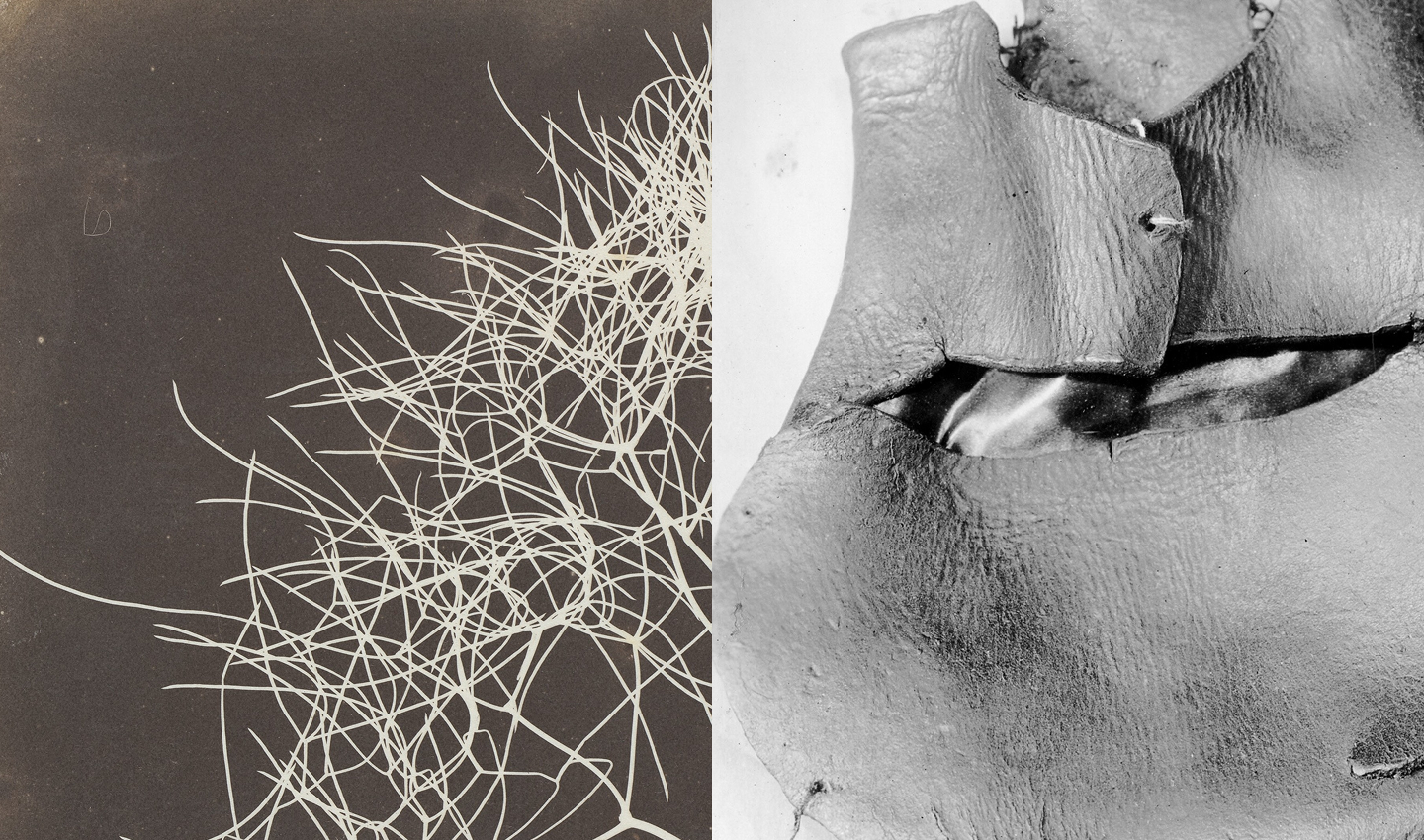 Materials background