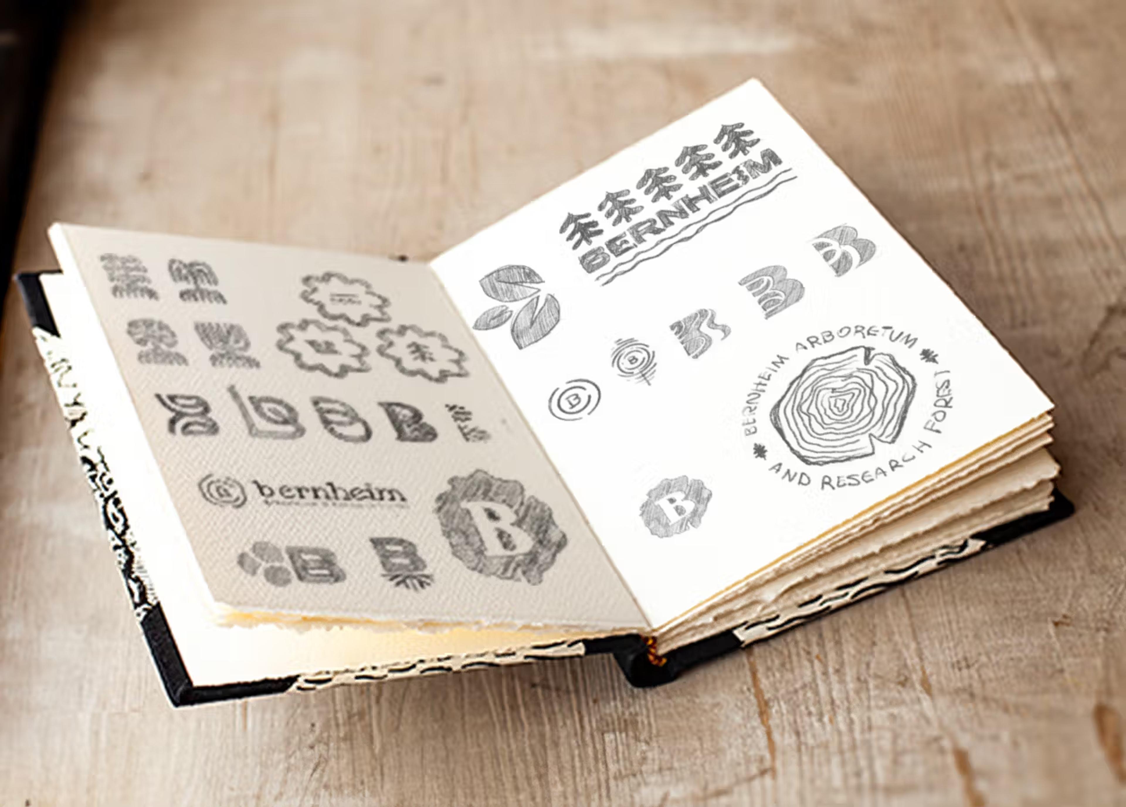 Bernheim Logo Sketches