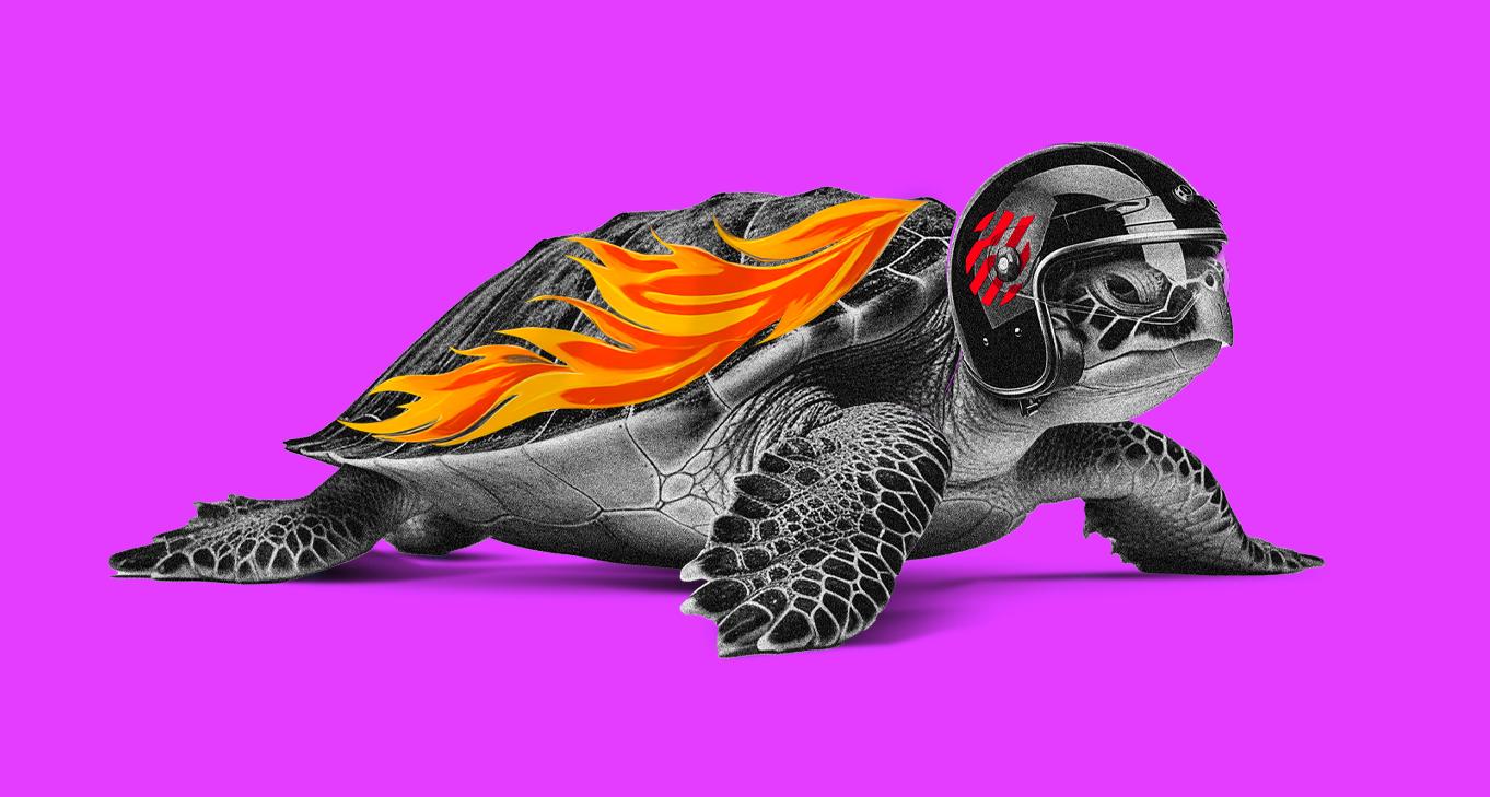 VIA Studio Branding & Marketing Case Studies