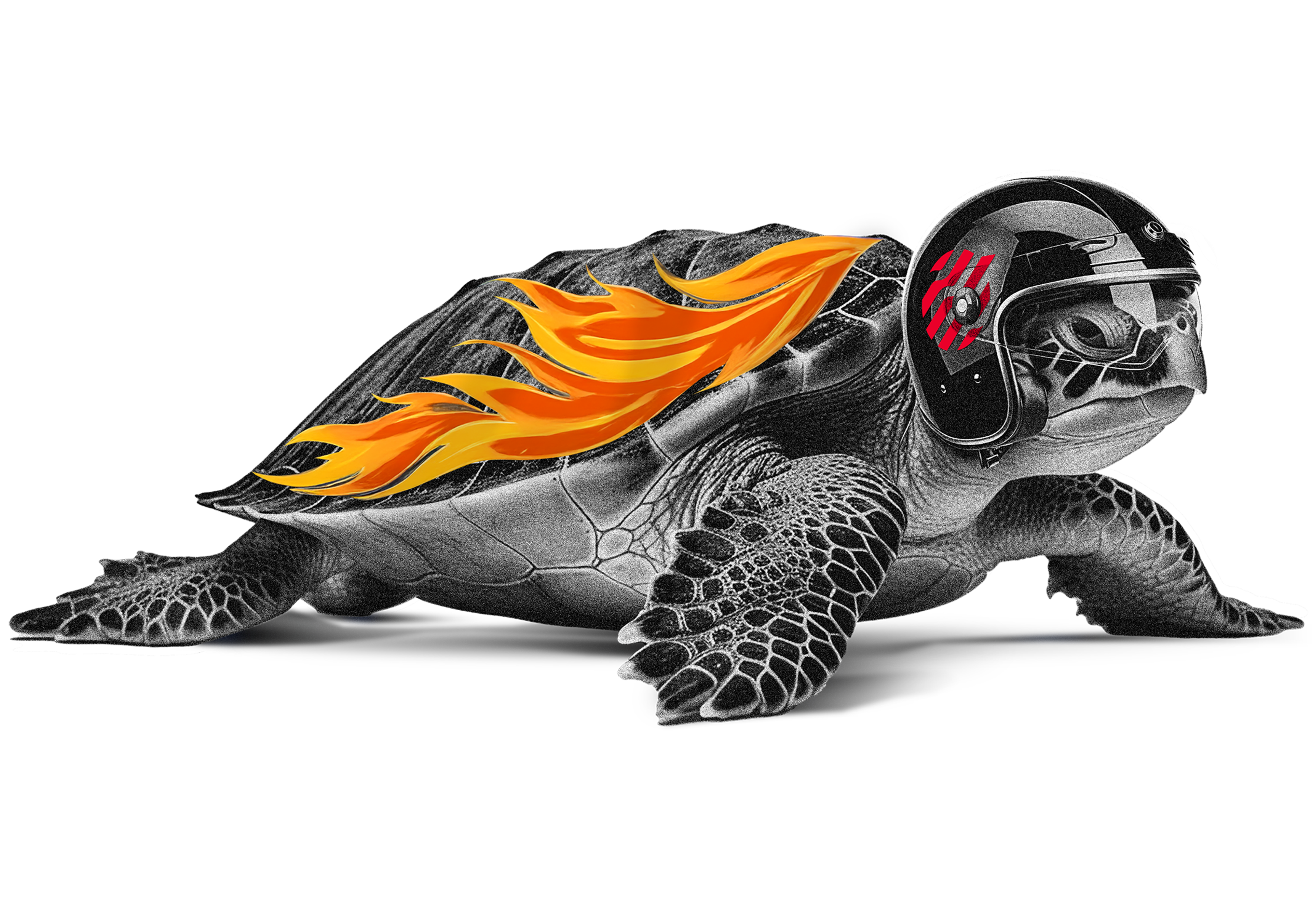 Turtle with a flaming shell and helmet
