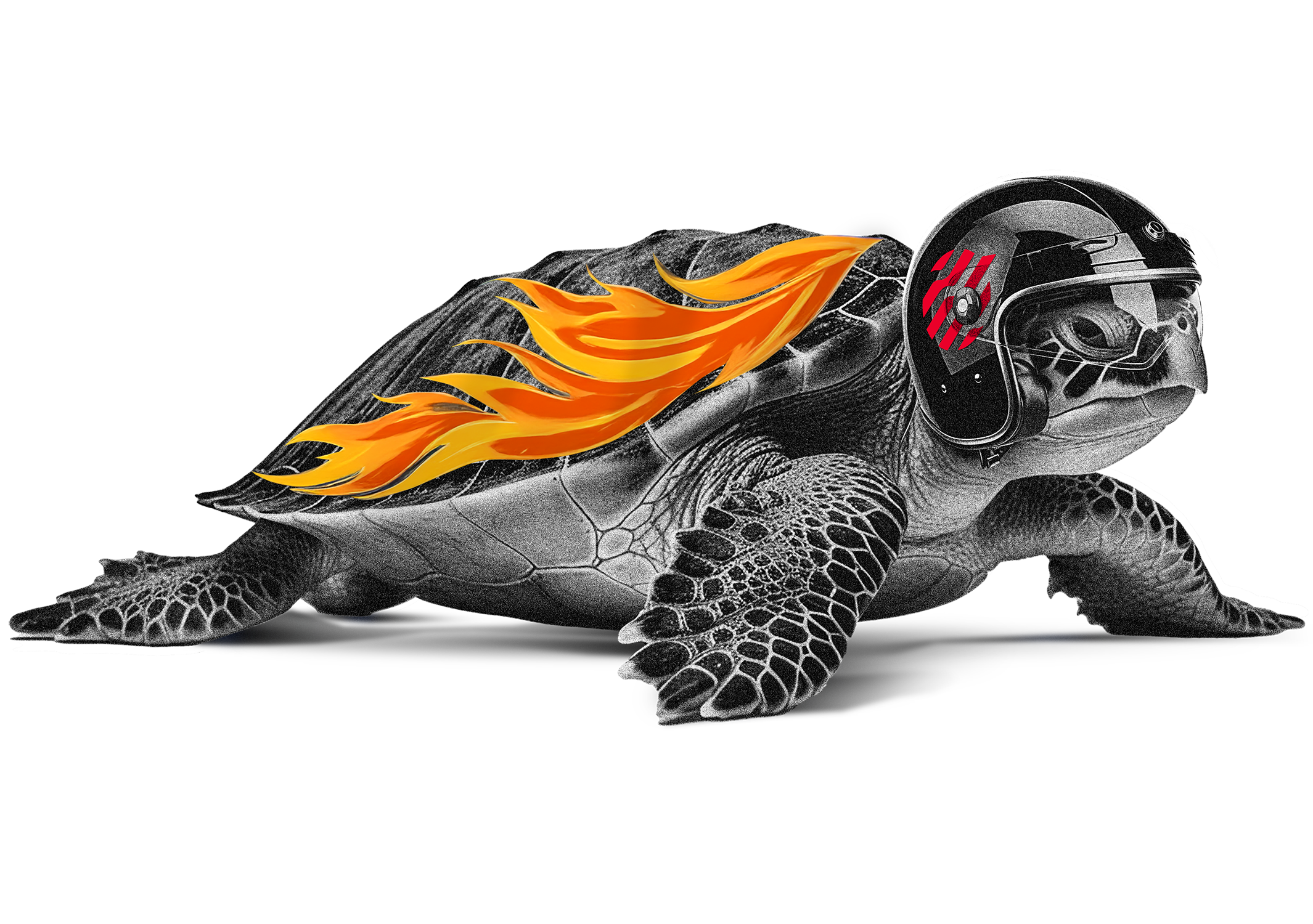 Turtle with a flaming shell and helmet