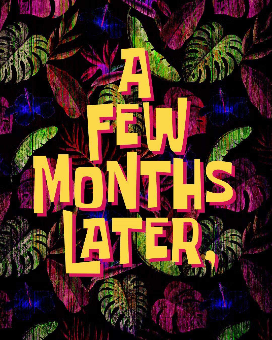 Colorful leaf pattern with the text A Few Months Later.