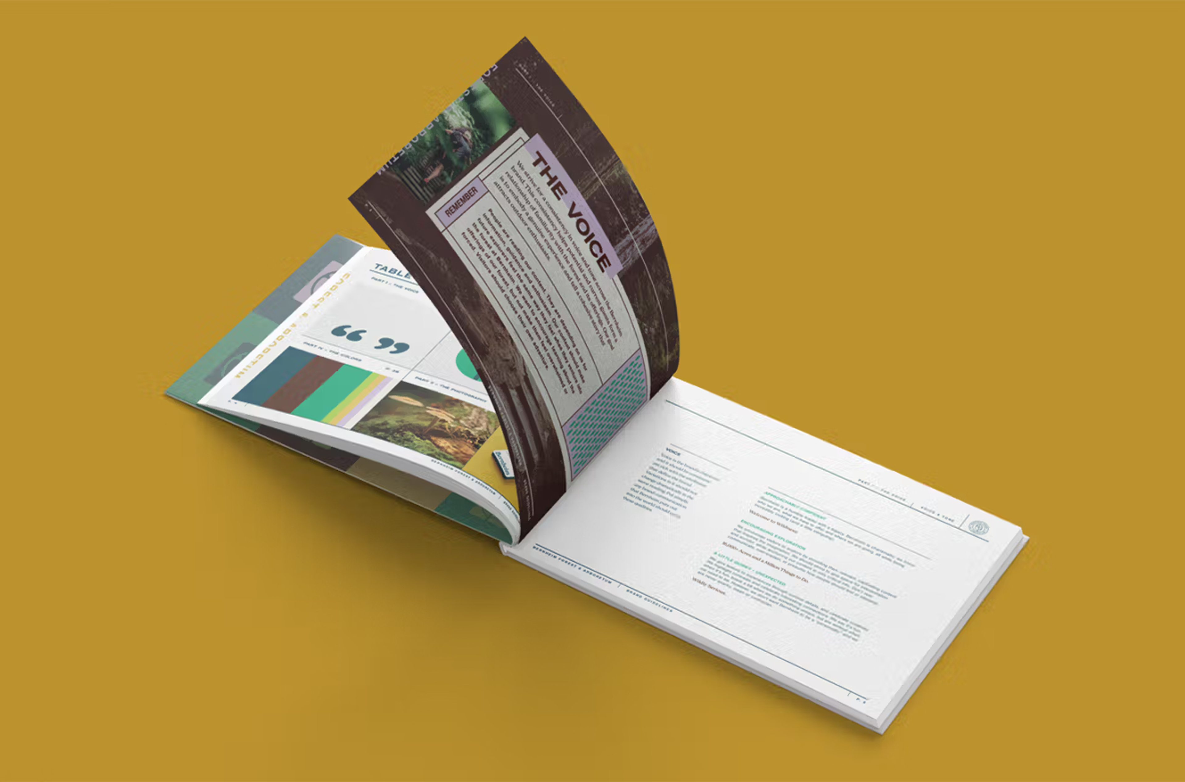 Bernheim Brand Guidelines
