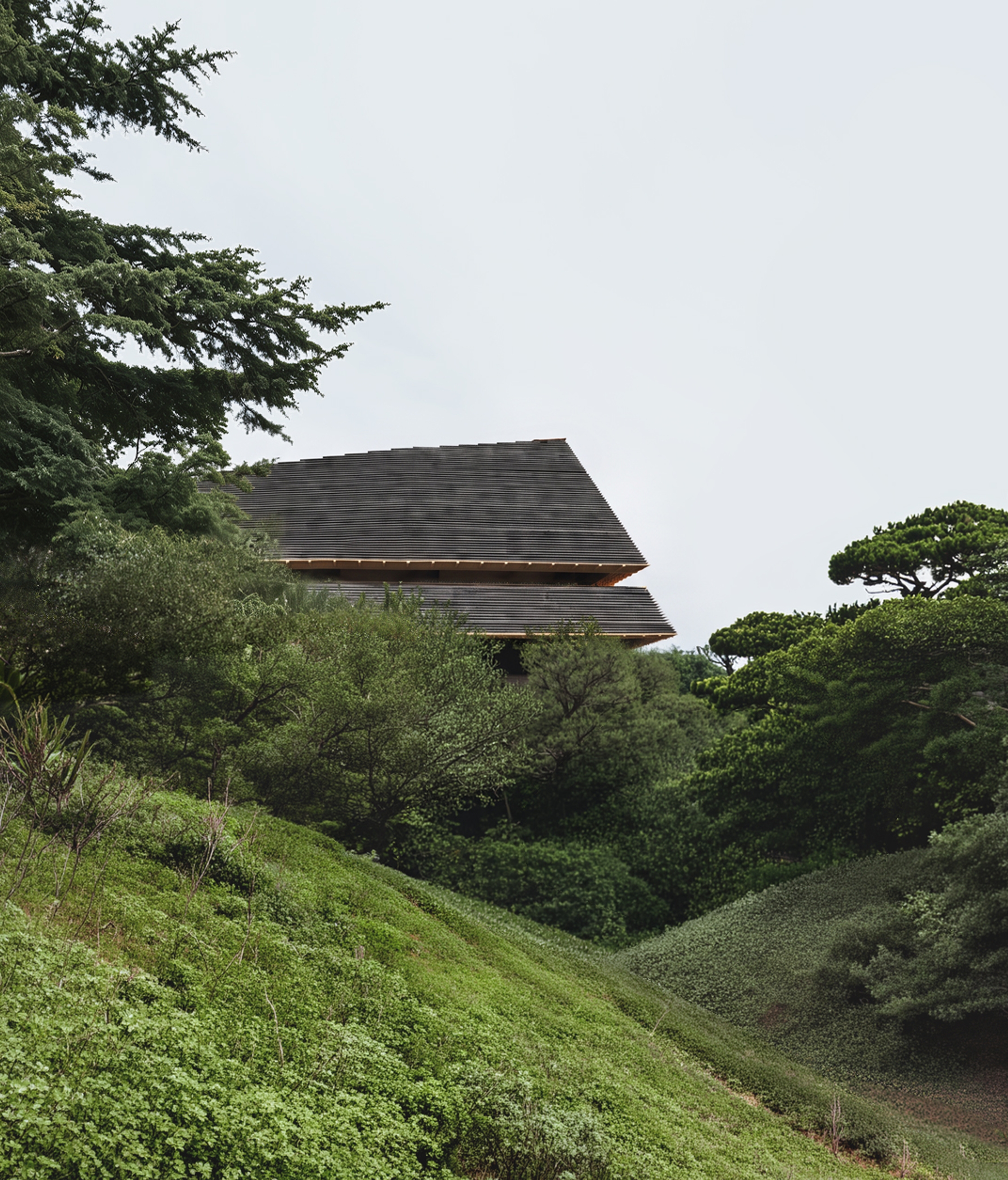 005_TA-RI Architects_POH_View 07_LATENT