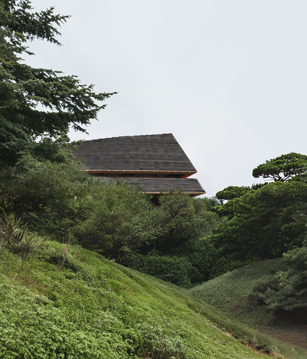 005_TA-RI Architects_POH_View 07_LATENT