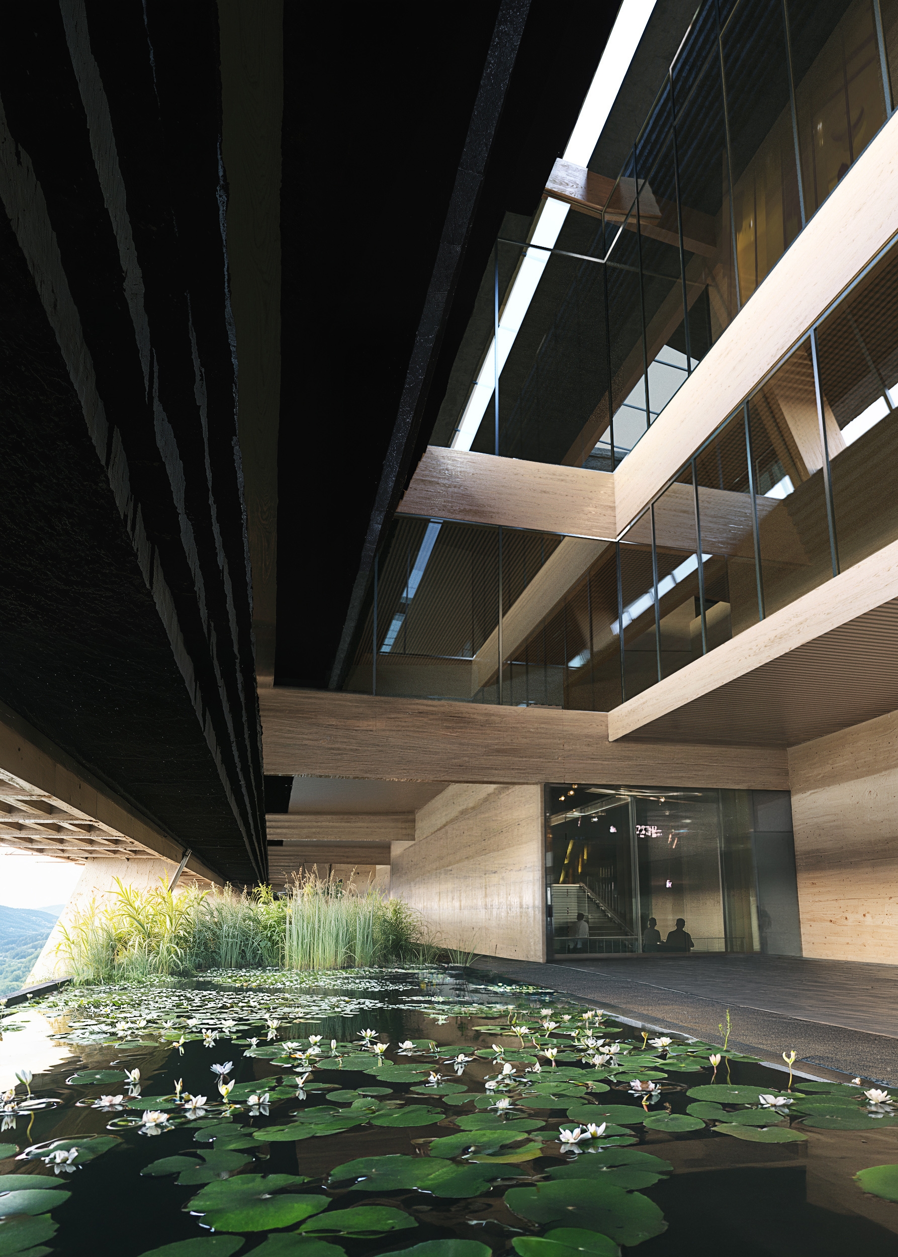 005_TA-RI Architects_POH_View 19_LATENT_