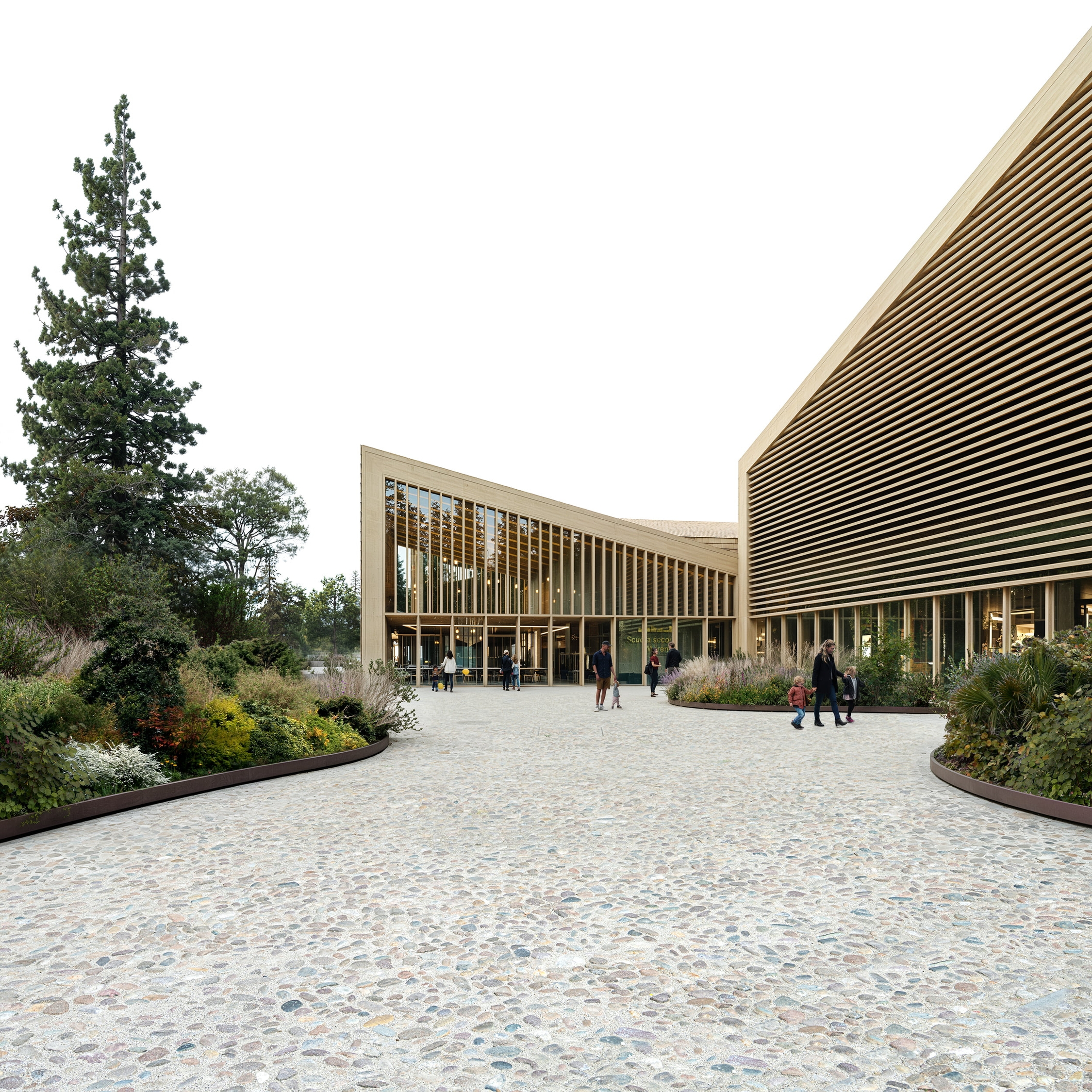 MD_Marene school_View 03_LATENT
