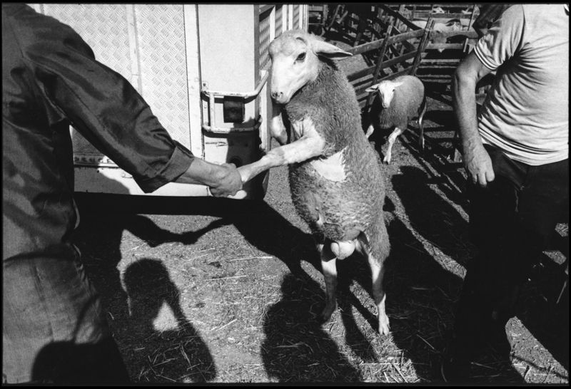 des foires dans le Lot dans les années 80