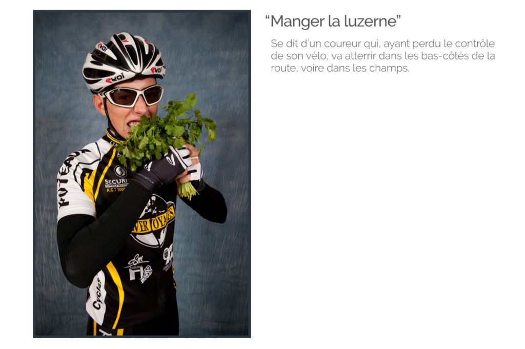 6 manger la luzerne