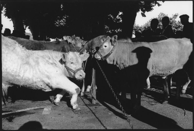 des foires dans le Lot dans les années 80