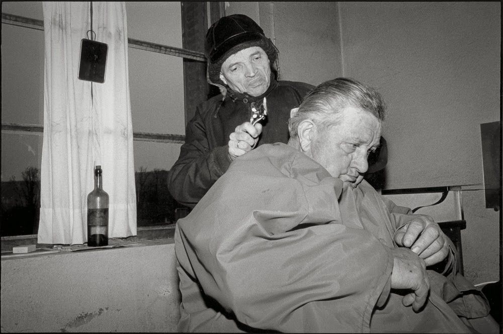 3 - coupe en hiver