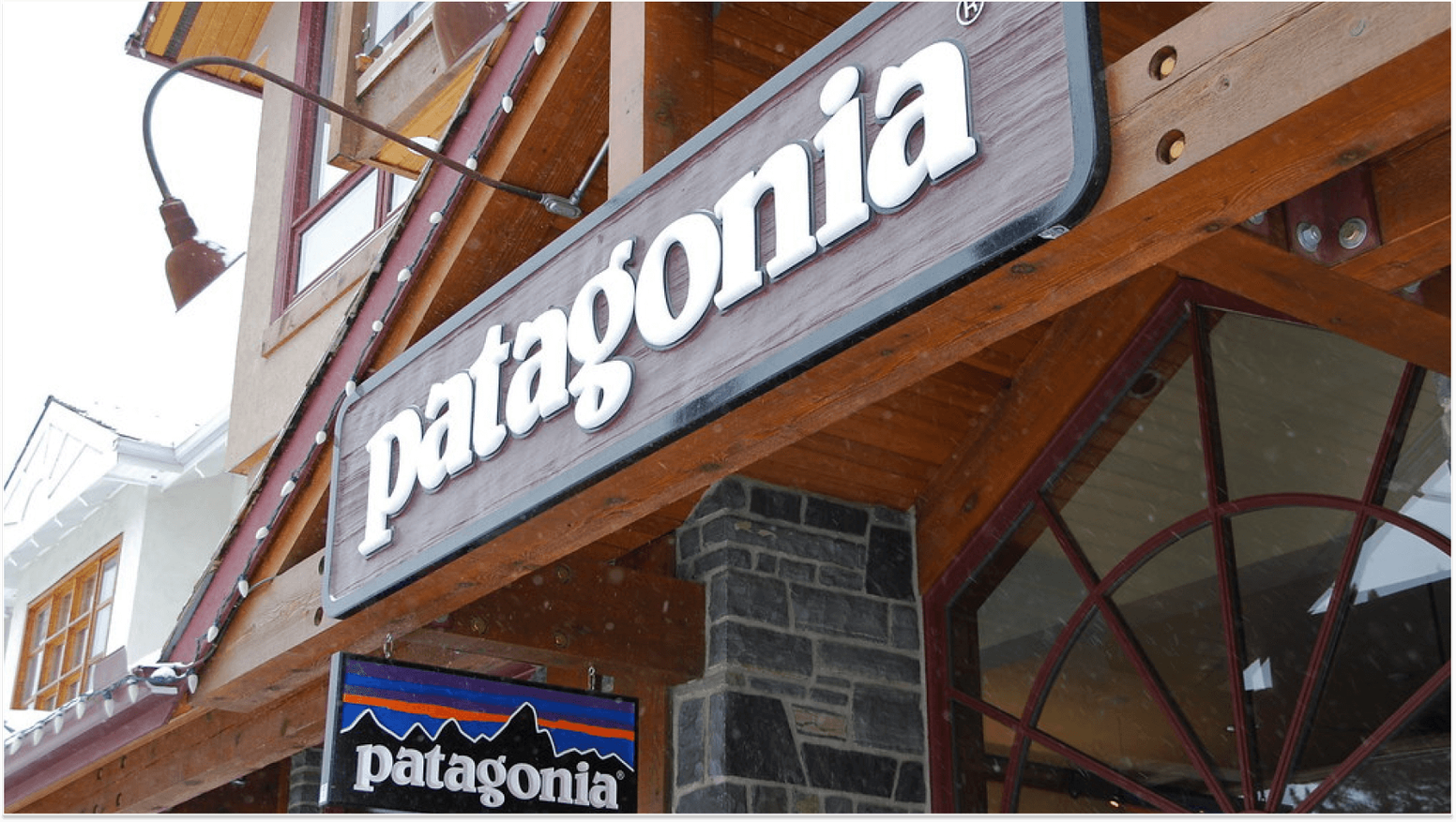 Examples of Companies with High Employee Engagement: Patagonia