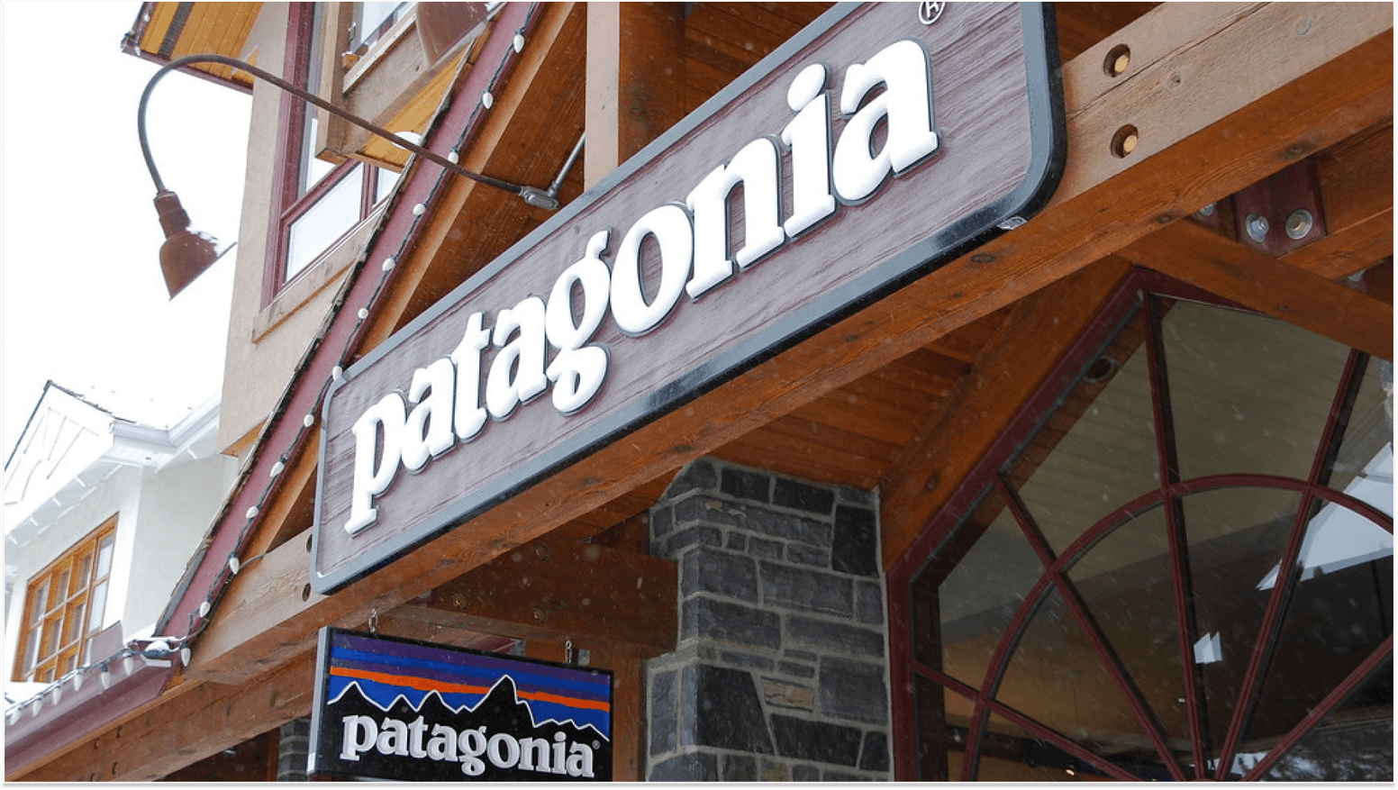 Examples of Companies with High Employee Engagement: Patagonia