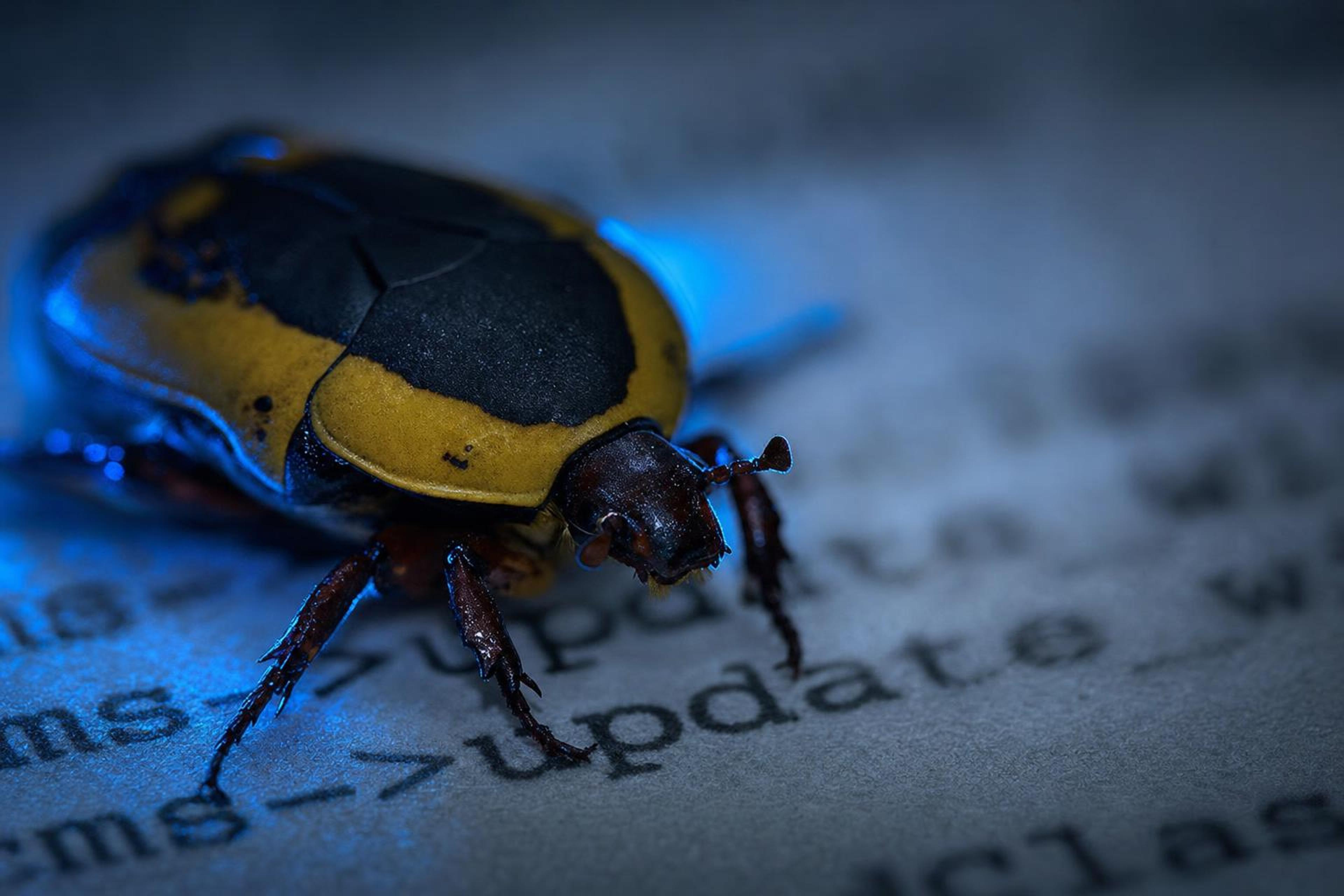 XRP Ledger Fix Rescheduled for November After Validator Support Slips