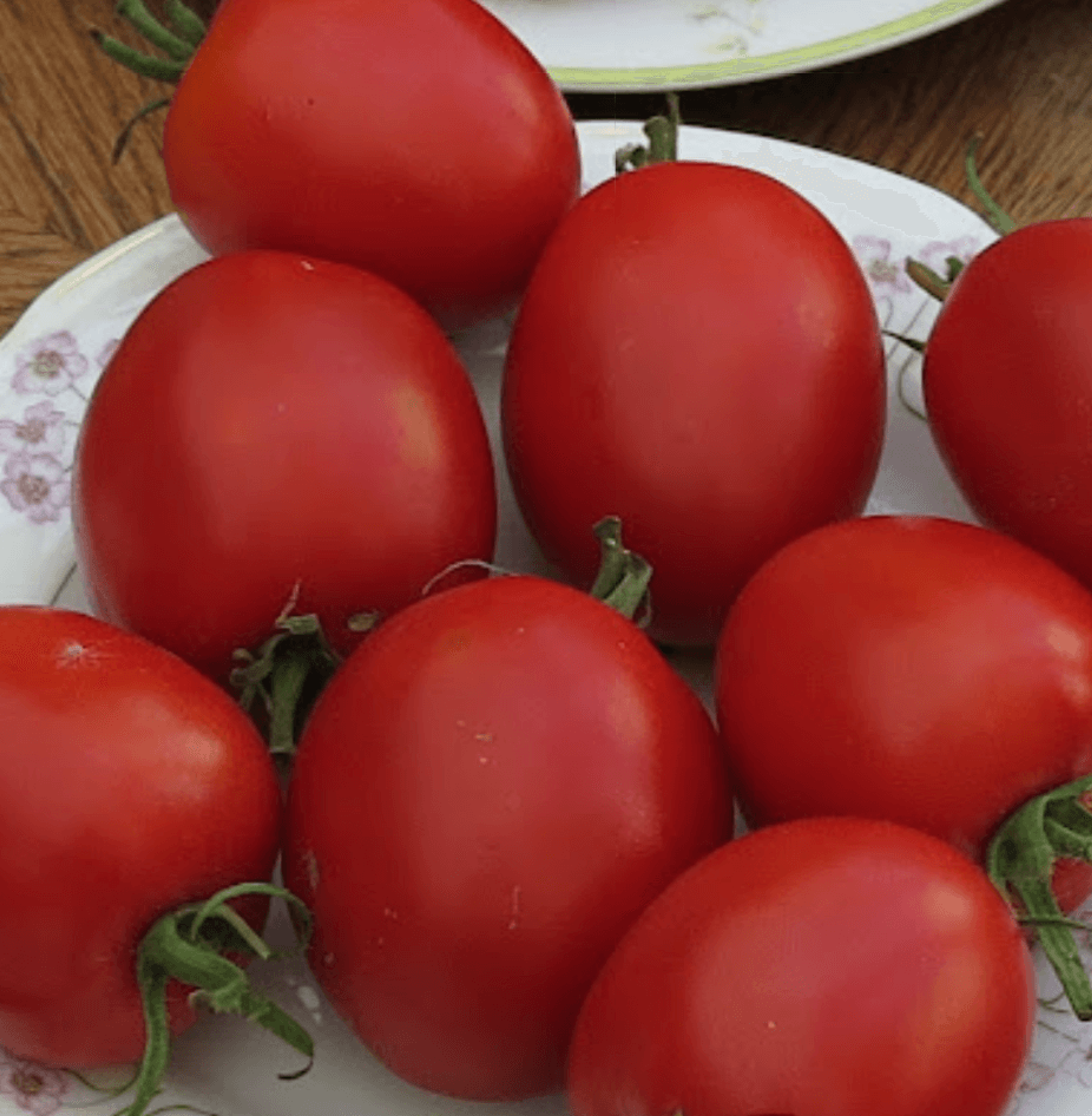 rajče Omas Liebling - středně velké mírně oválné červené plody