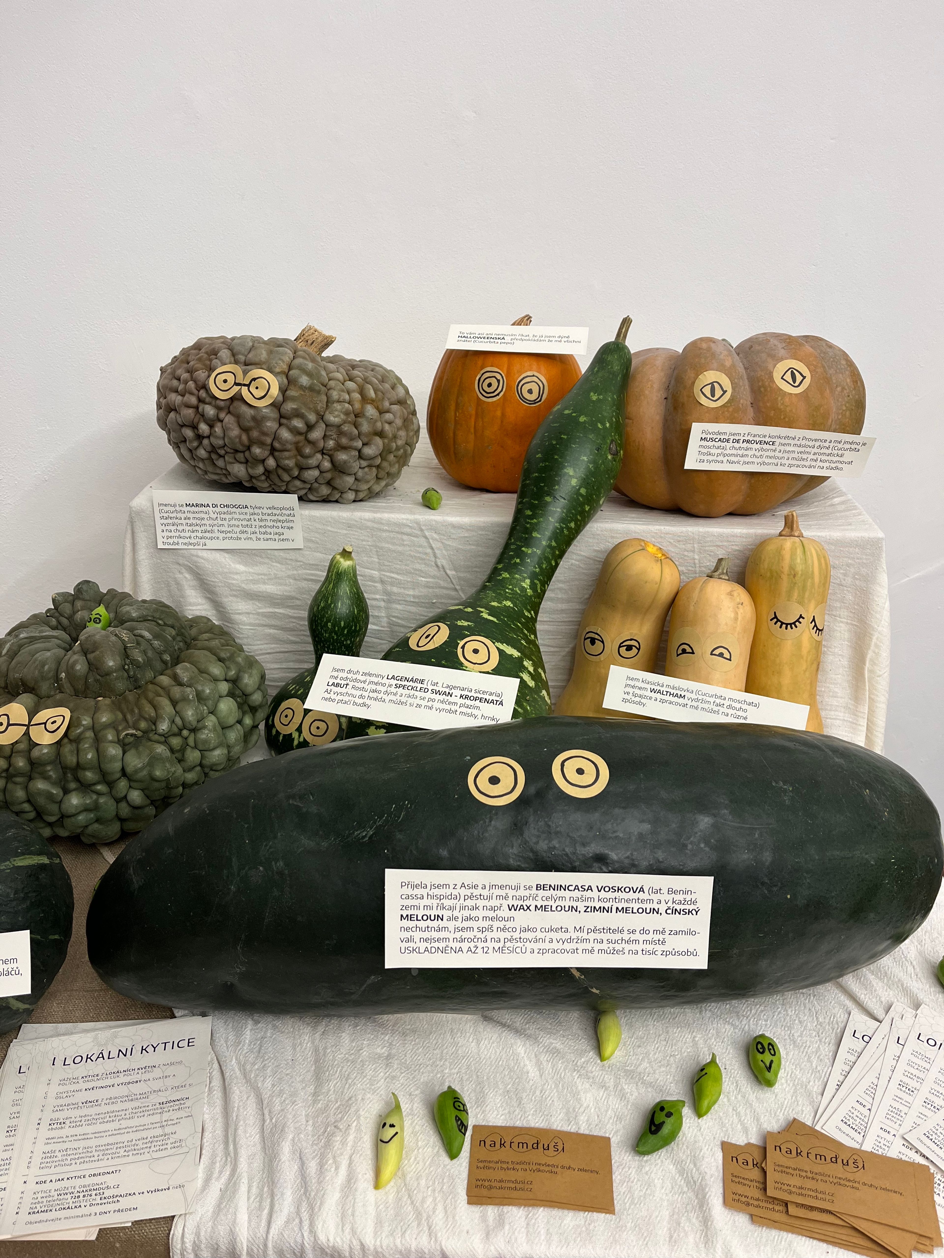 Výstava dýní vol. 2 ČZS