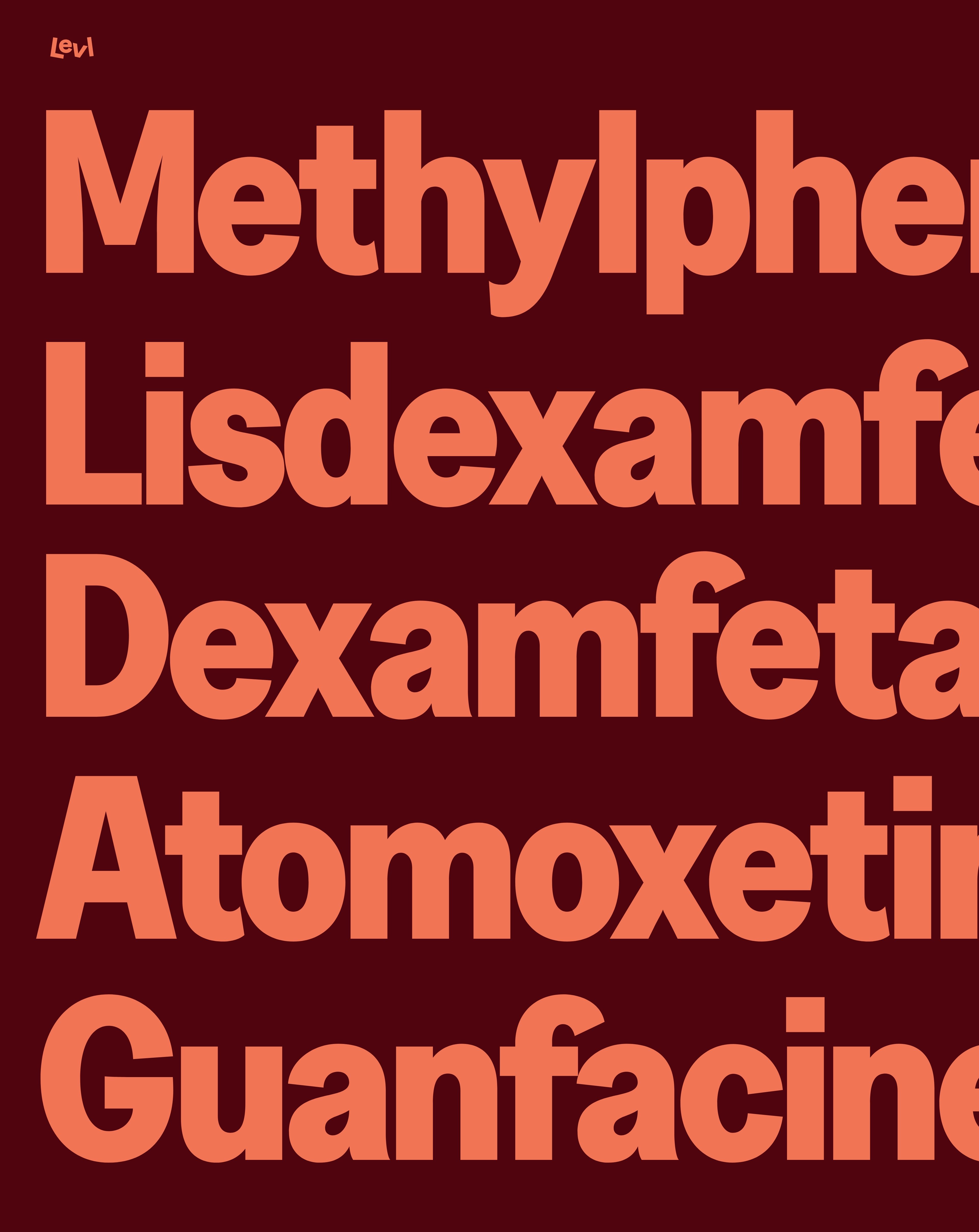 Levl typography overview