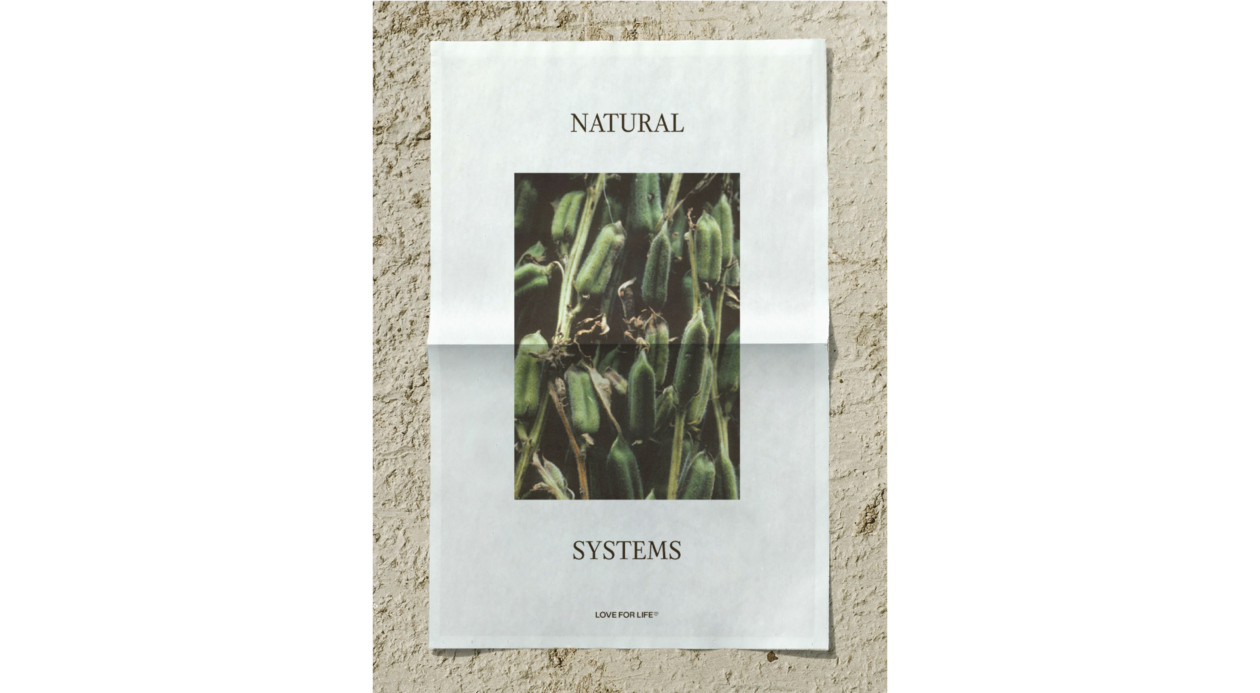 Newsprint image on a stone background with 'Natural Systems' and an image of some plants