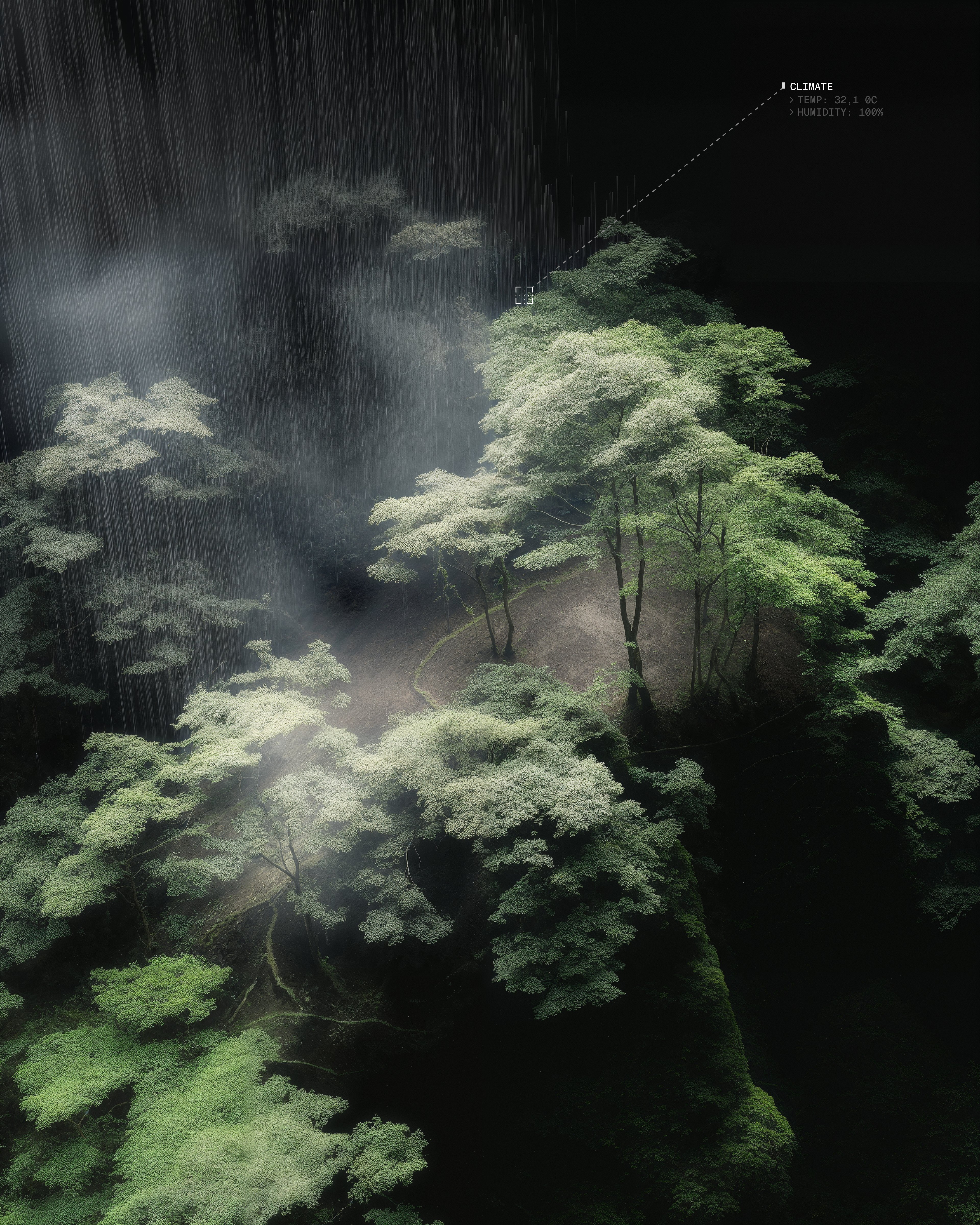A ariel image of trees with rain