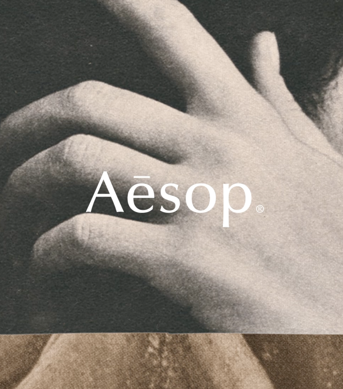 Aesop Partnership