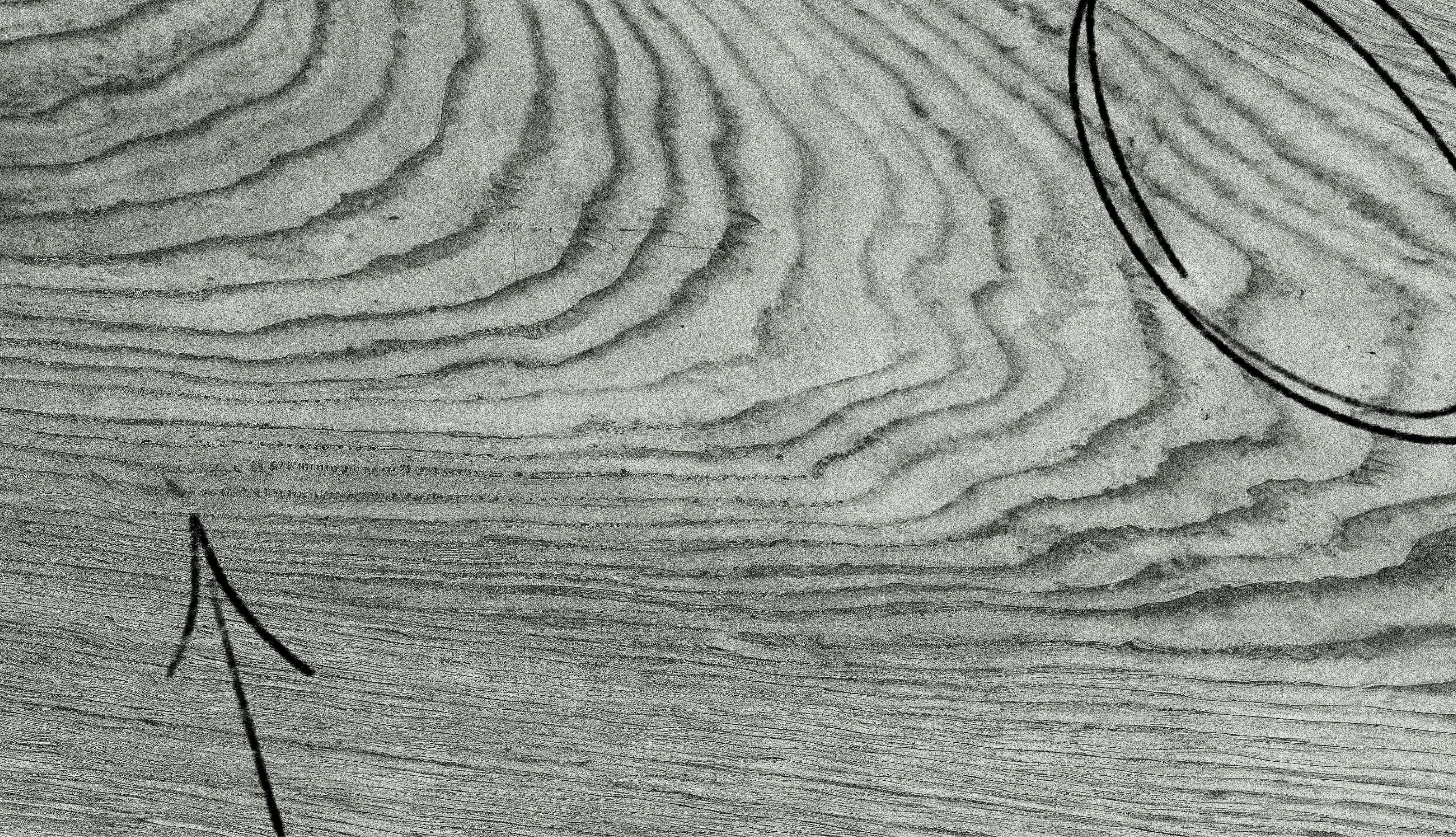 No.1 Common Texture