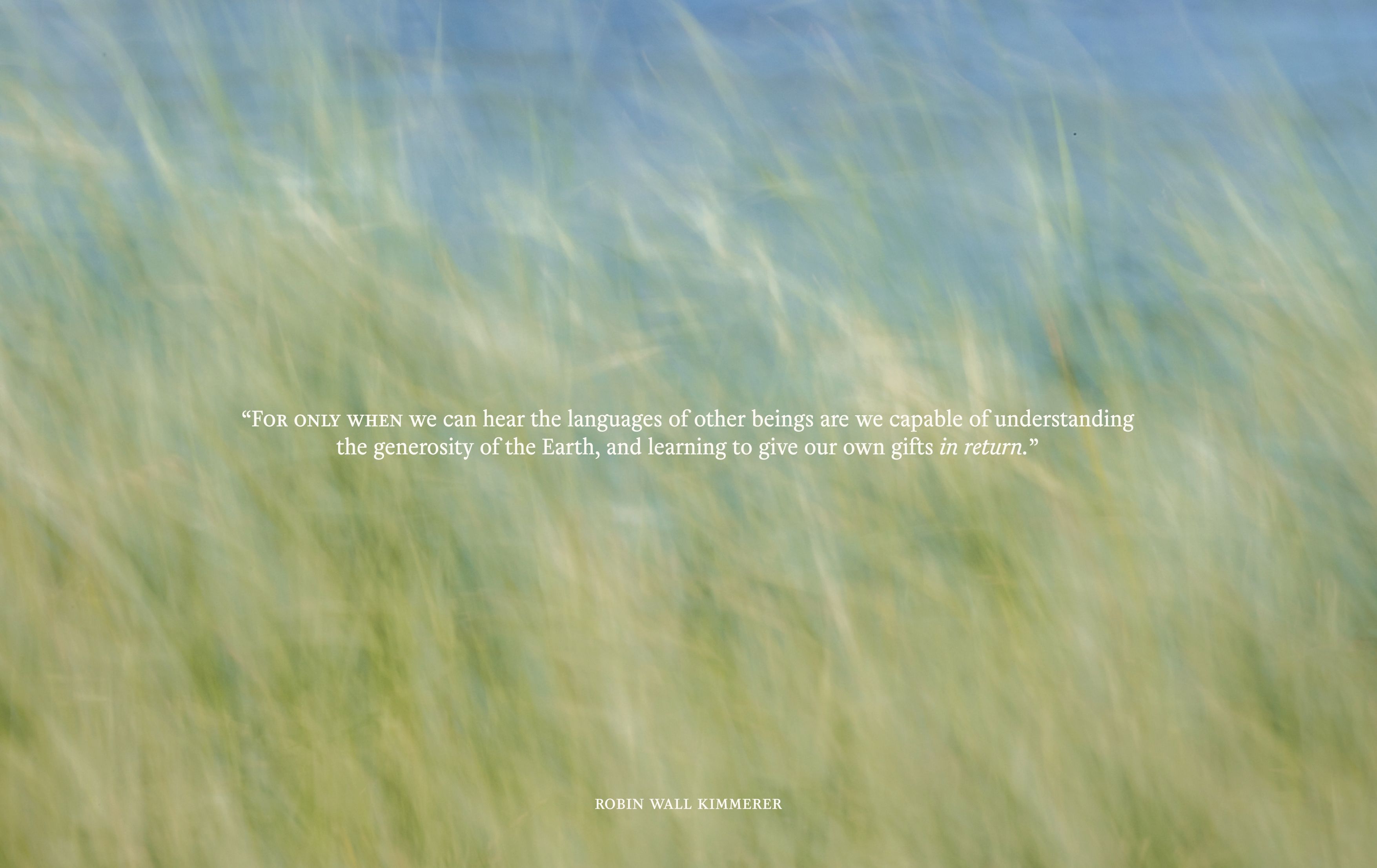Blurry image of field with a quote from Robin Wall Kimmerer over the top: “For only when we can hear the languages of other beings are we capable of understanding the generosity of the Earth, and learning to give our own gifts in return”