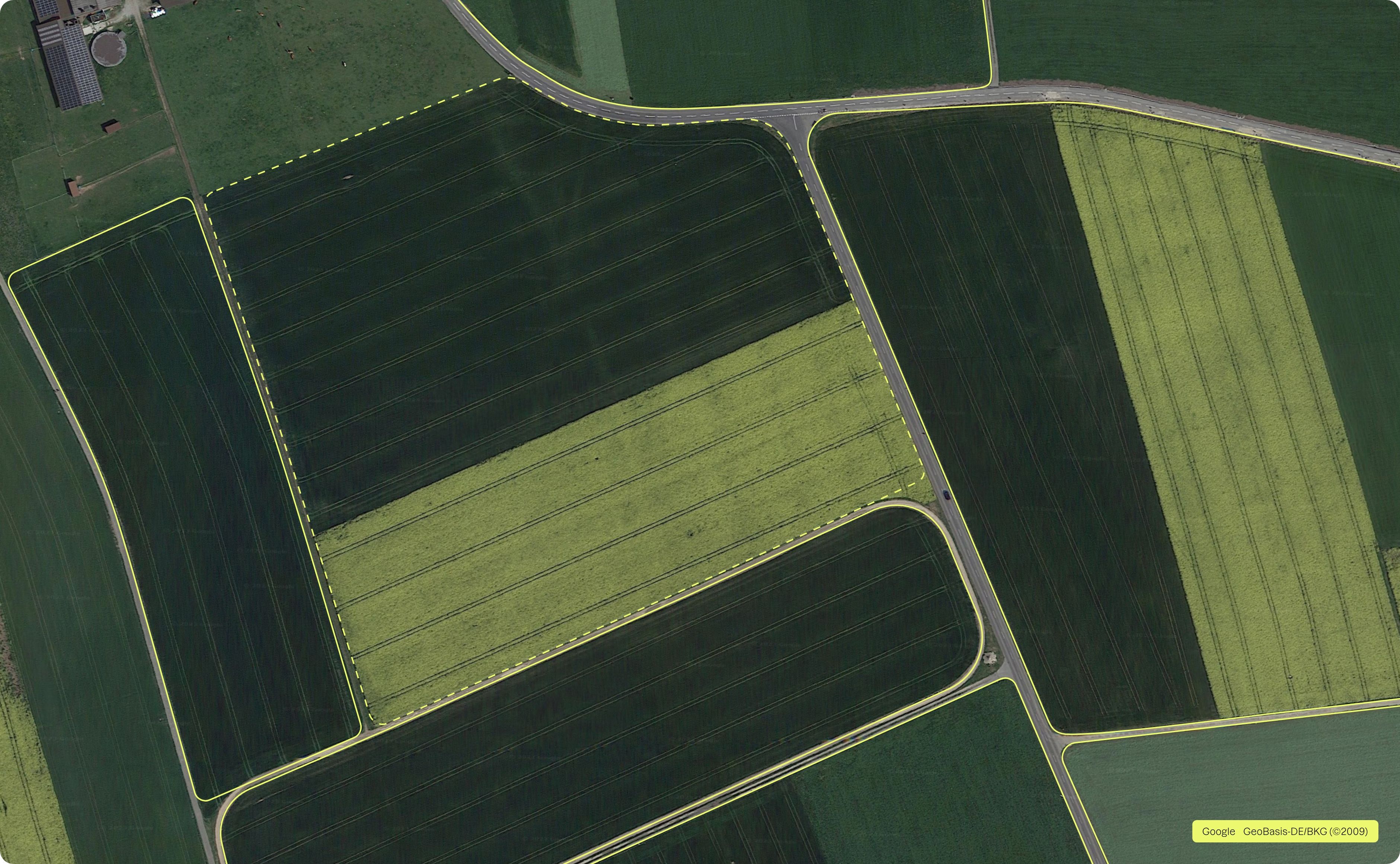 Aerial view of fields with their borders outlined.