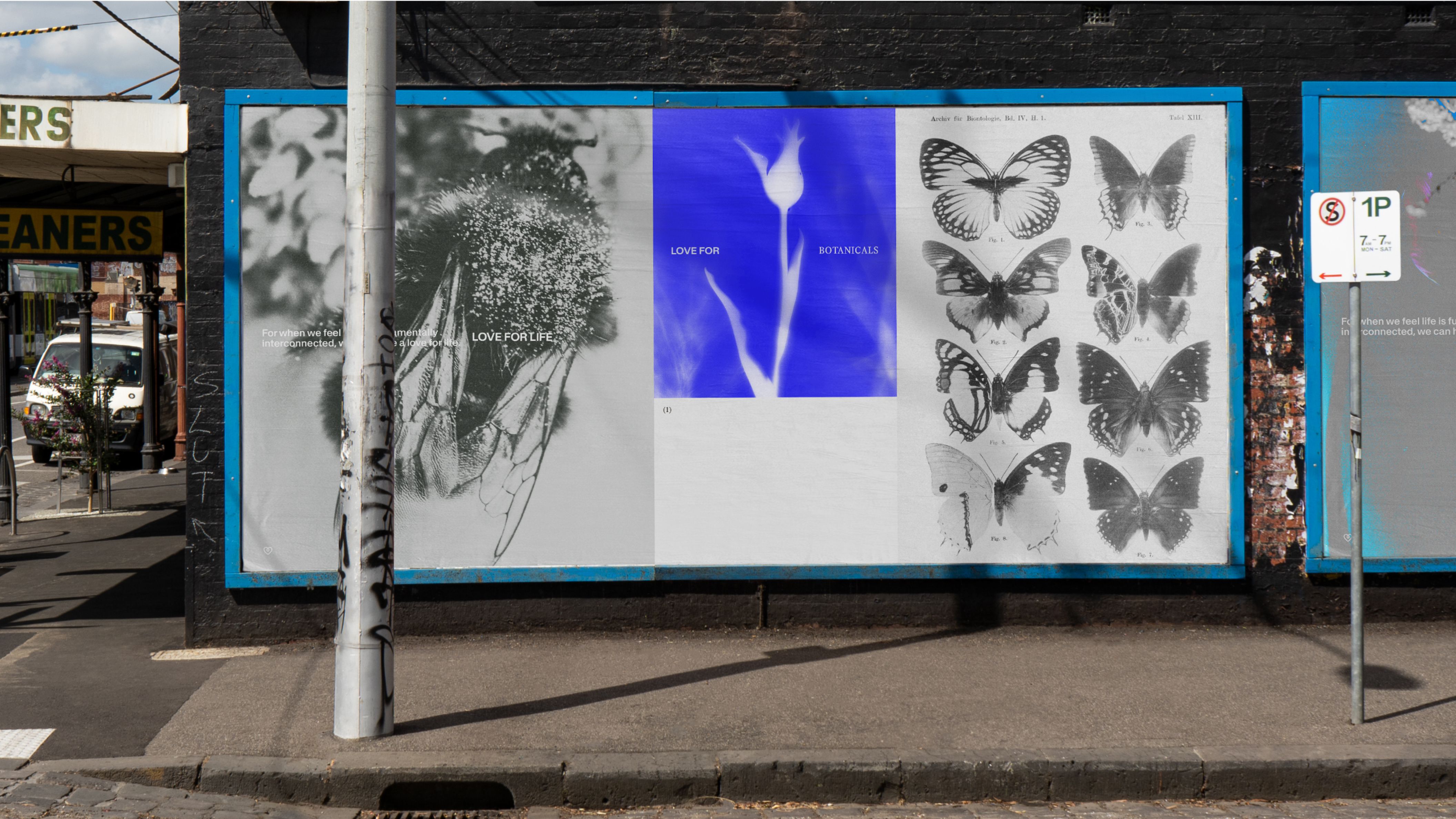 Billboard poster with a bee, a flower and some butterflies