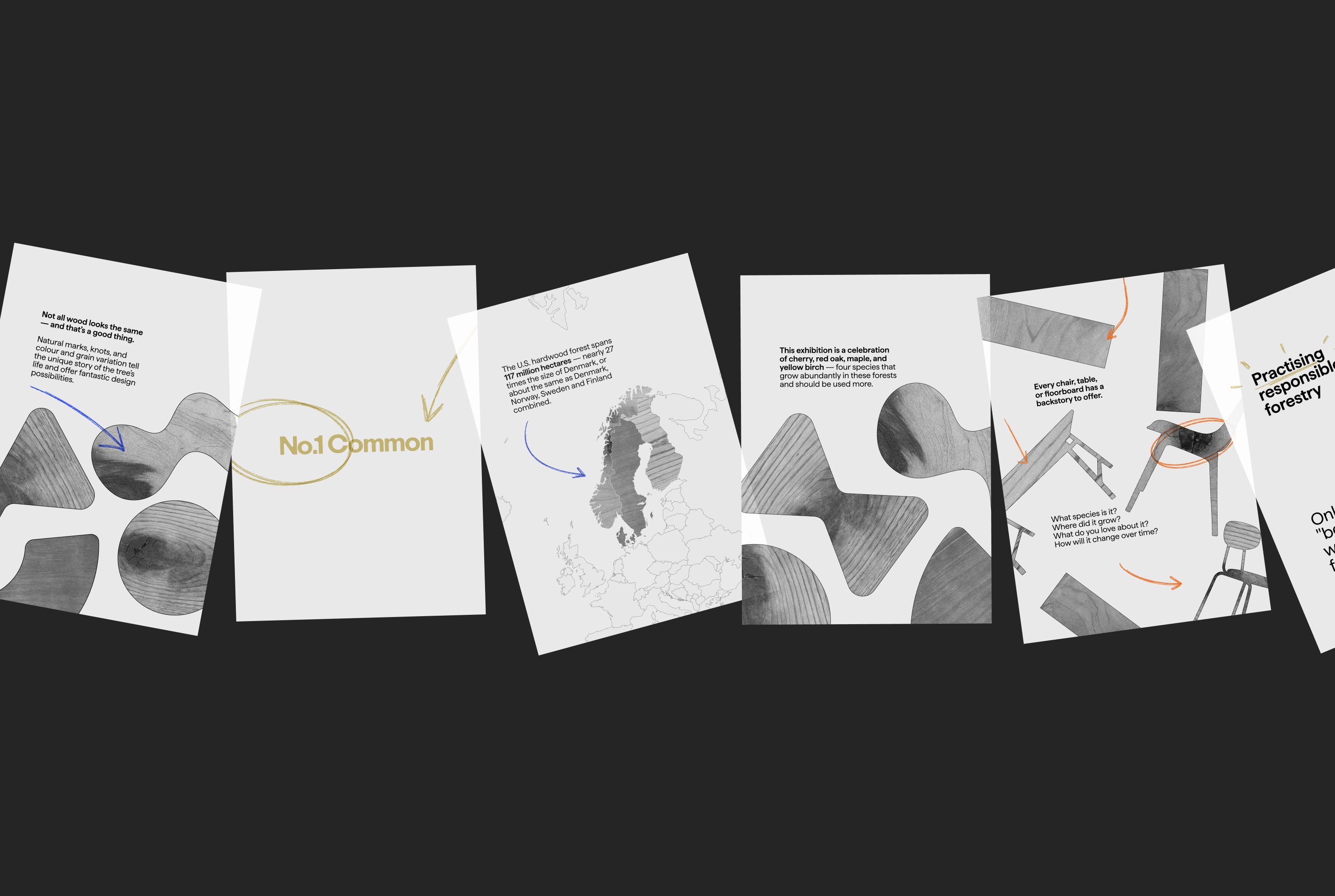 No.1 Common - Fact panels