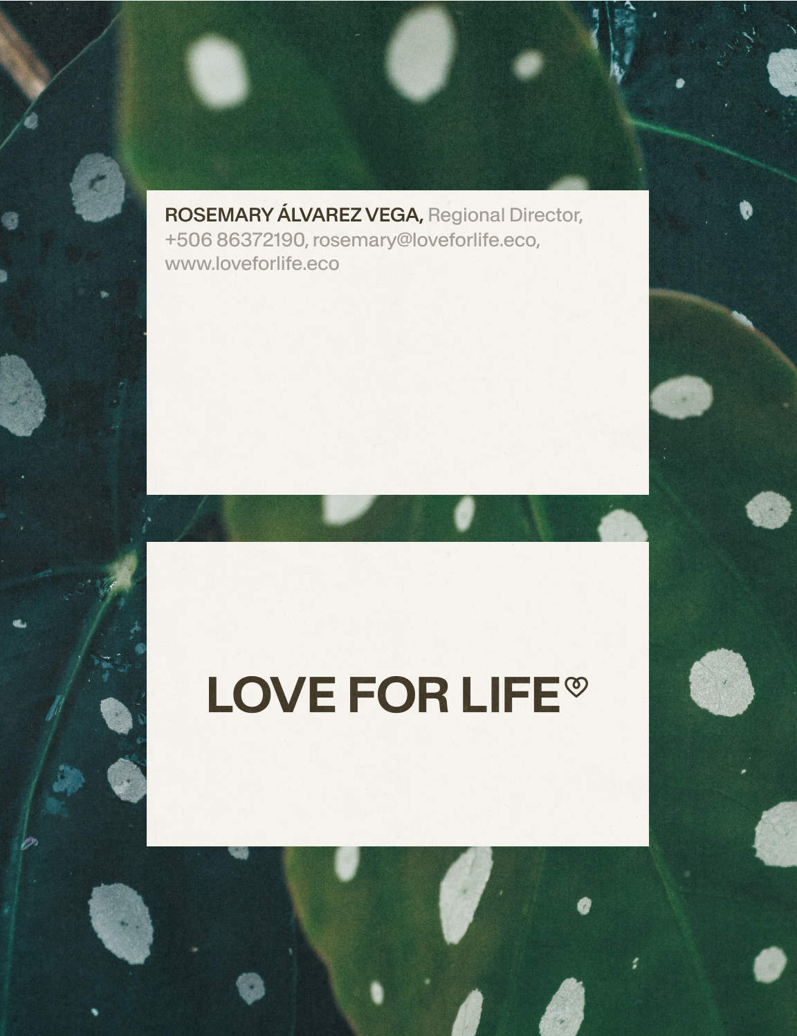 Business cards for Love For Life on a leaf background