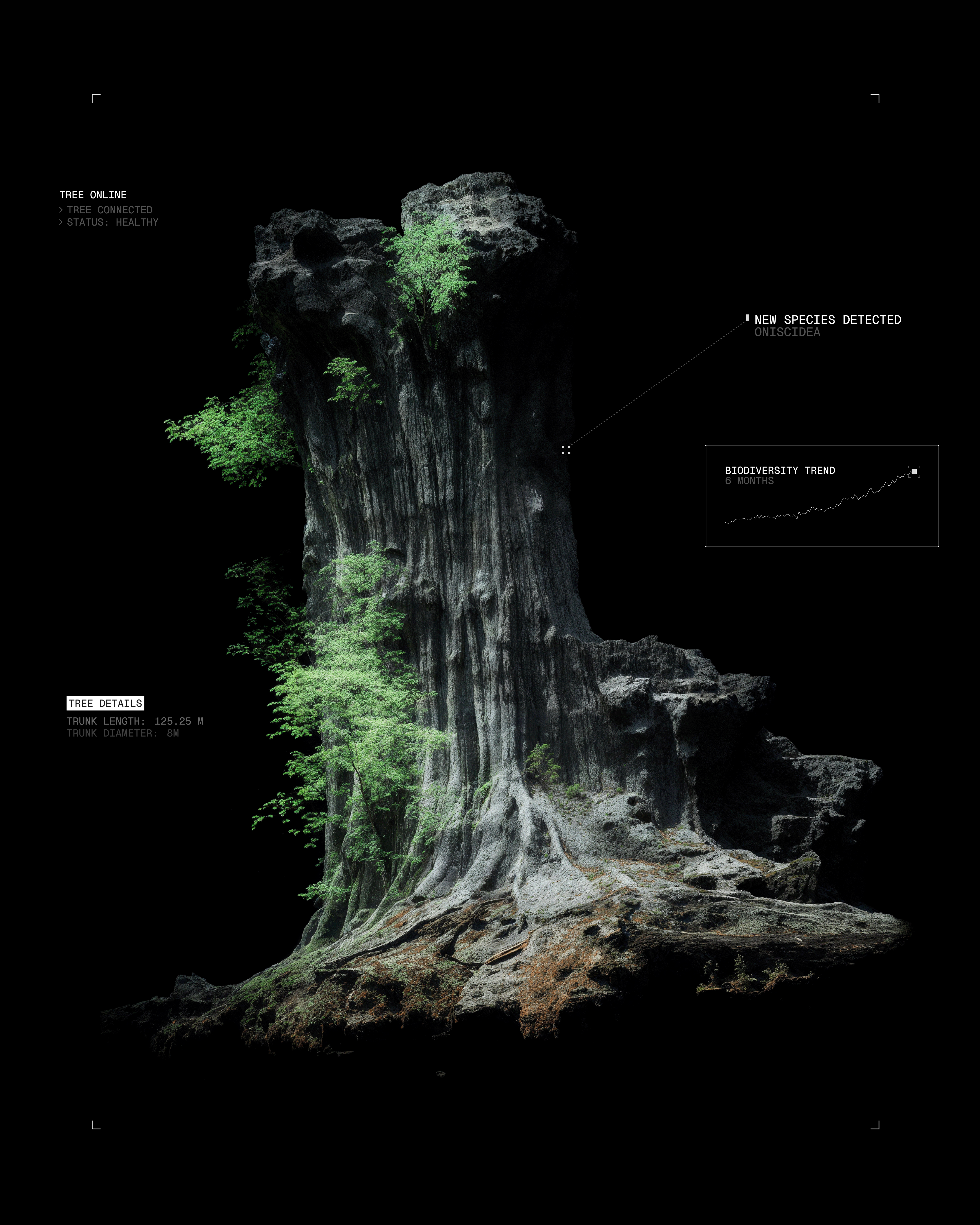 A tree with lots of scientific annotation