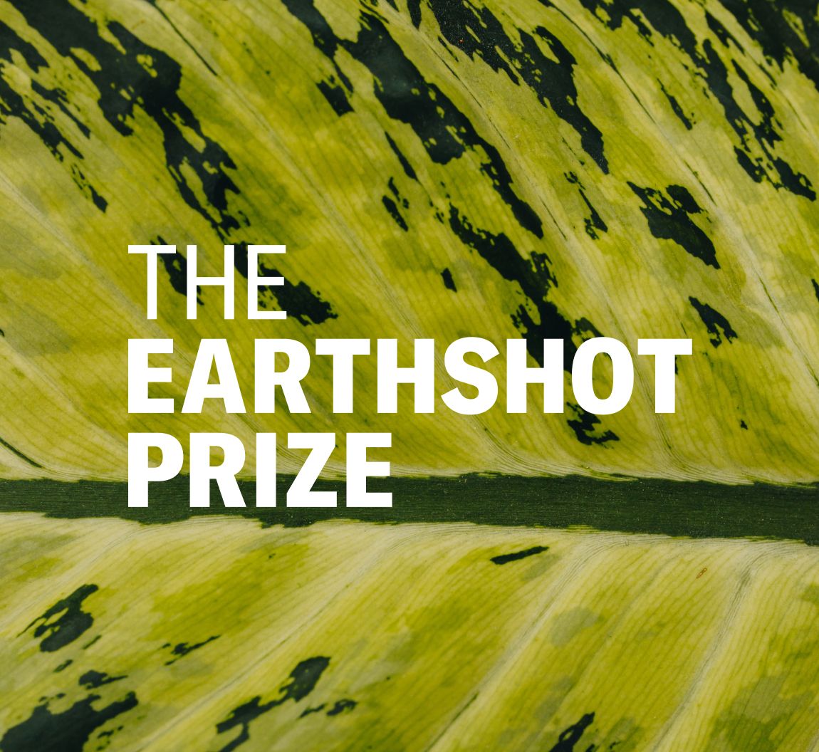 The Earthshot Prize