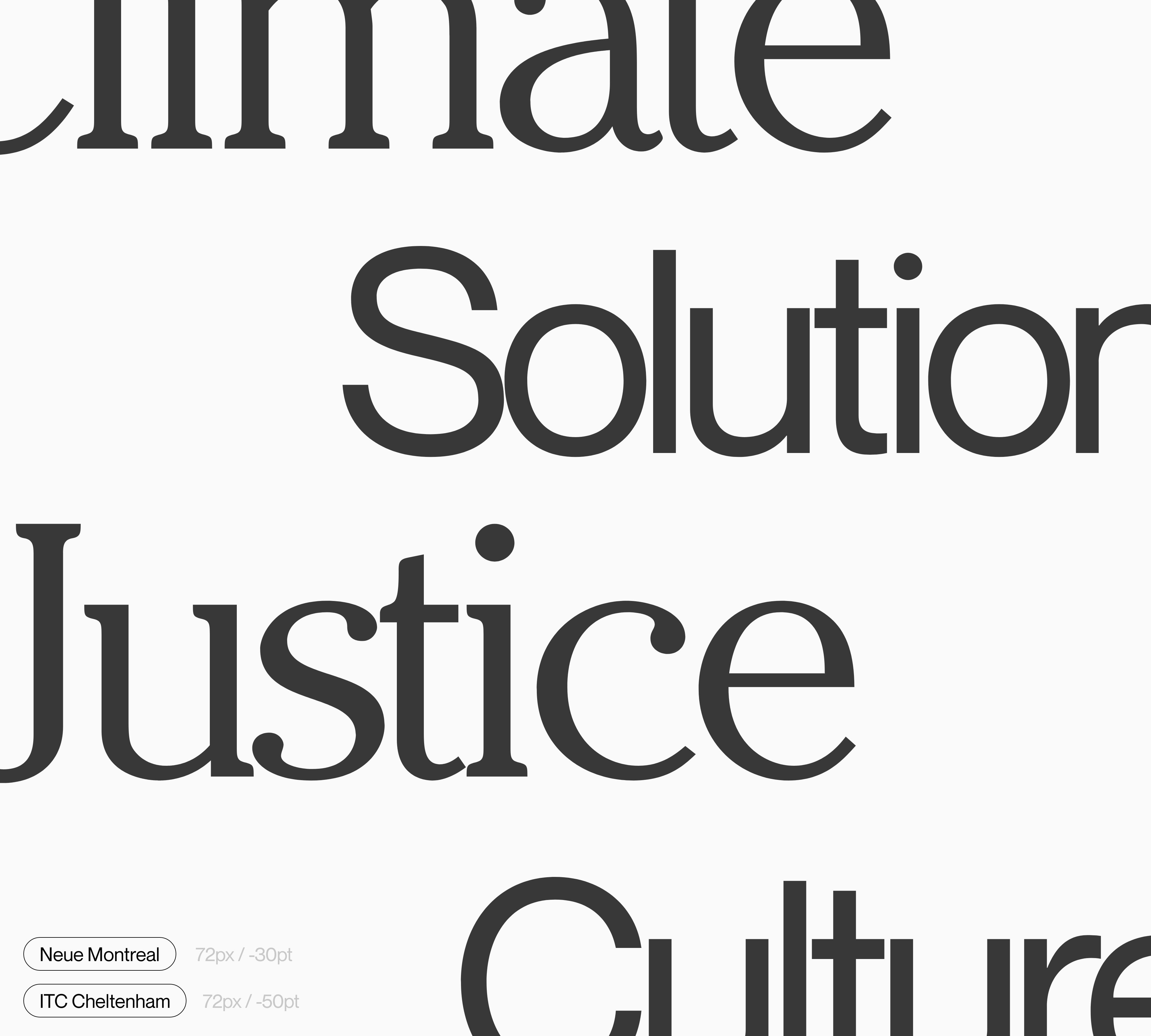 A showcase of the typefaces used throughout the earthrise brand